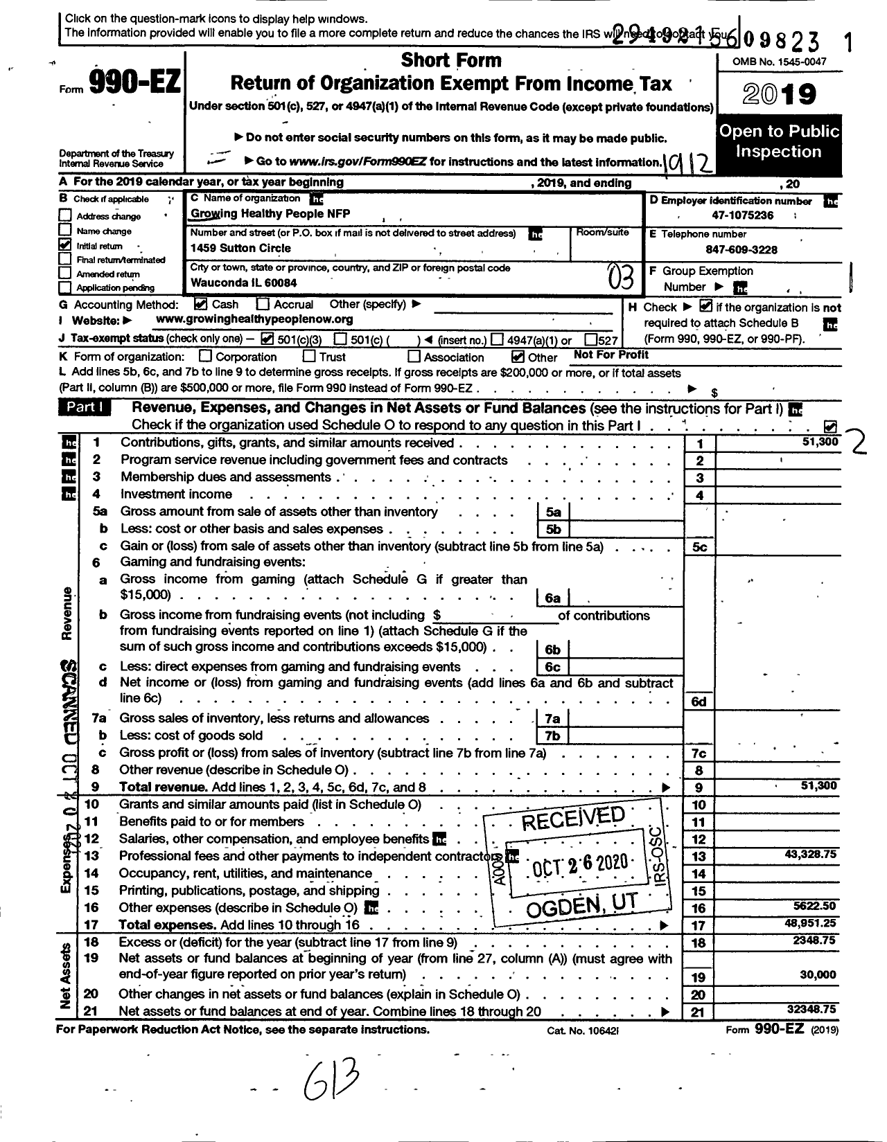 Image of first page of 2019 Form 990EZ for Growing Healthy People