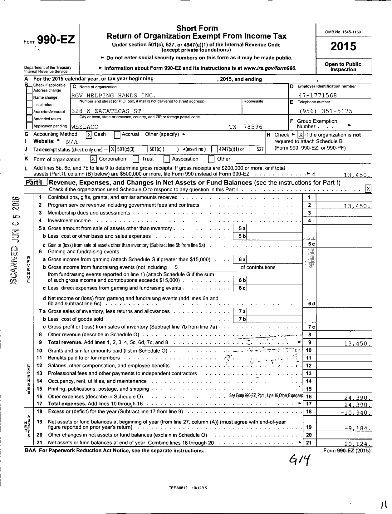 Image of first page of 2015 Form 990EZ for RGV Helping Hands