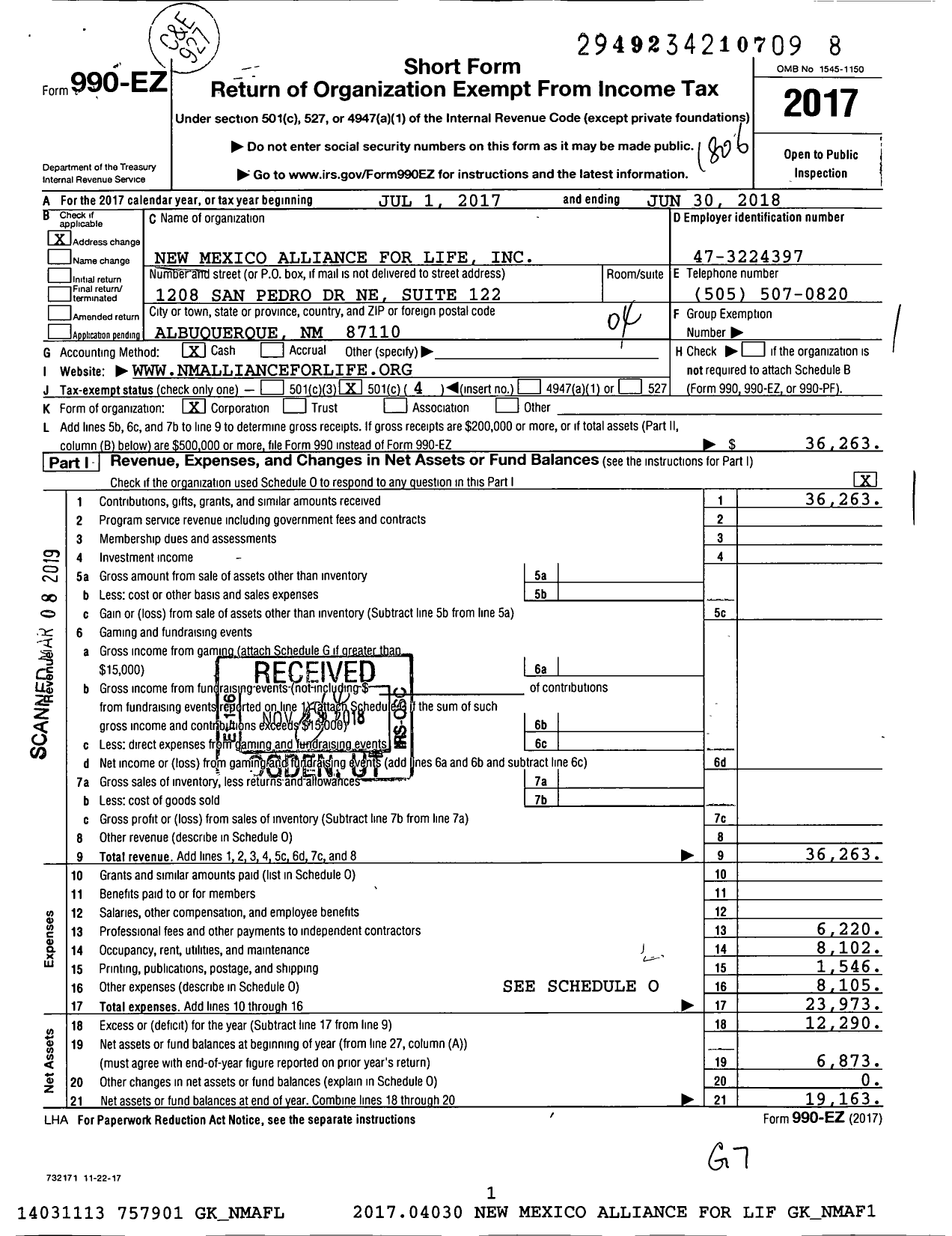 Image of first page of 2017 Form 990EO for New Mexico Alliance for Life