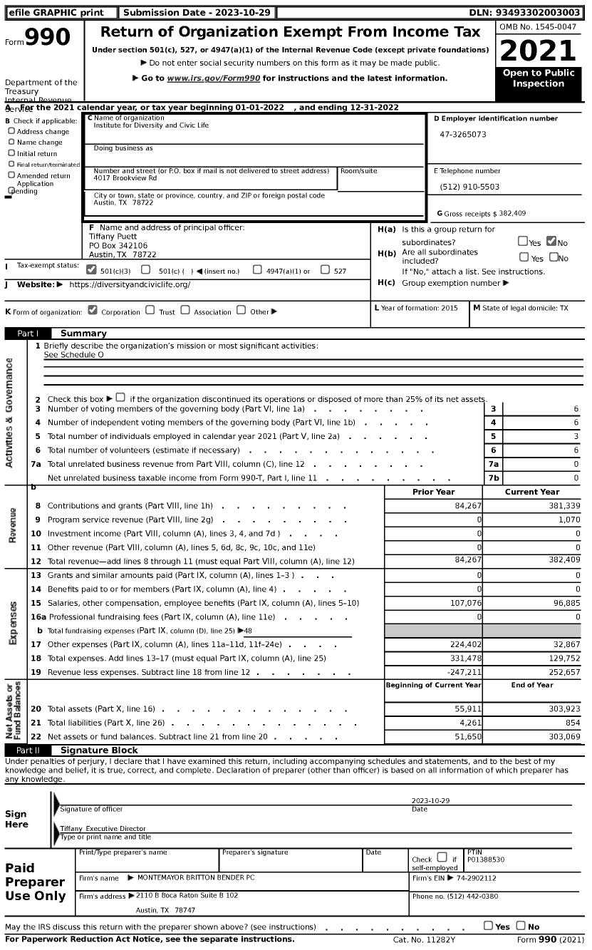 Image of first page of 2022 Form 990 for Institute for Diversity and Civic Life