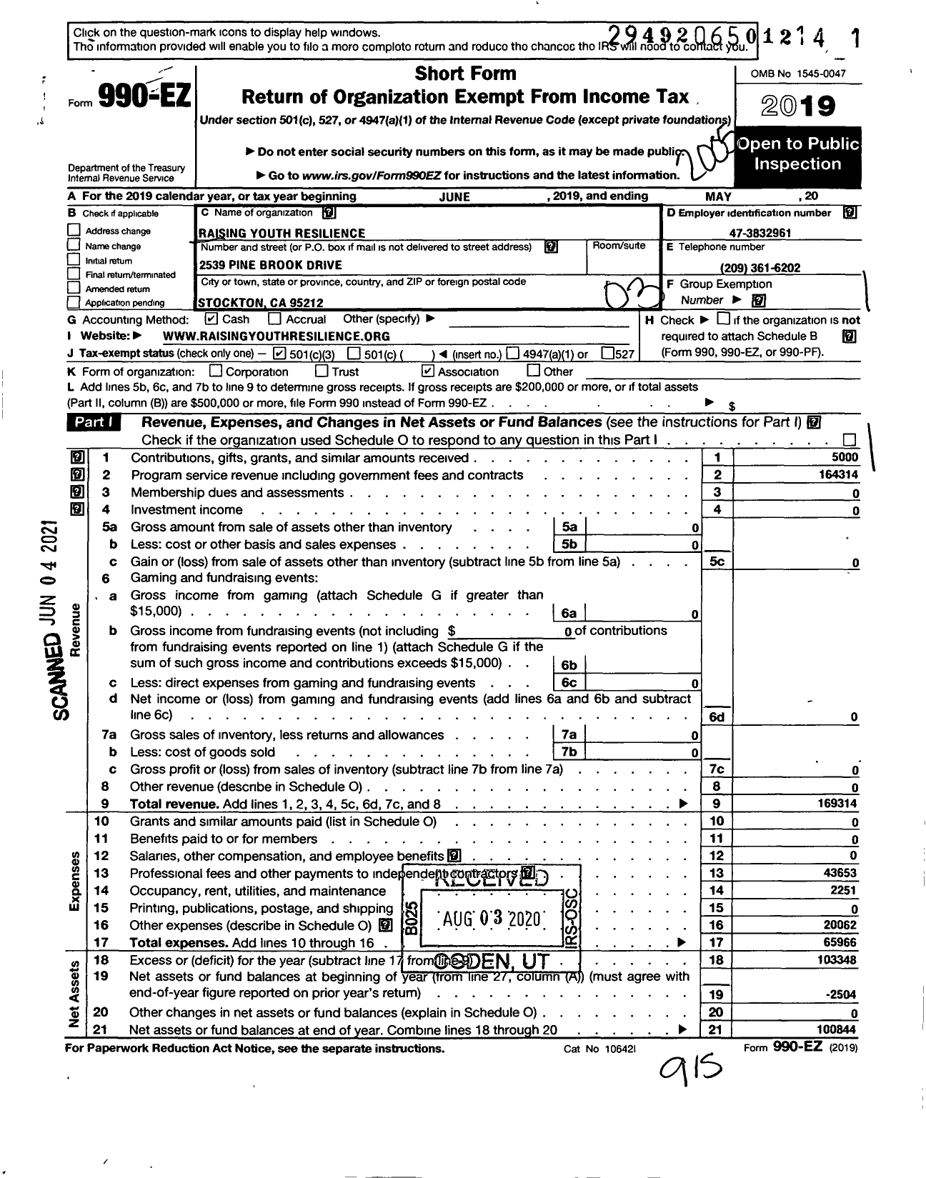 Image of first page of 2019 Form 990EZ for Raising Youth Resilience