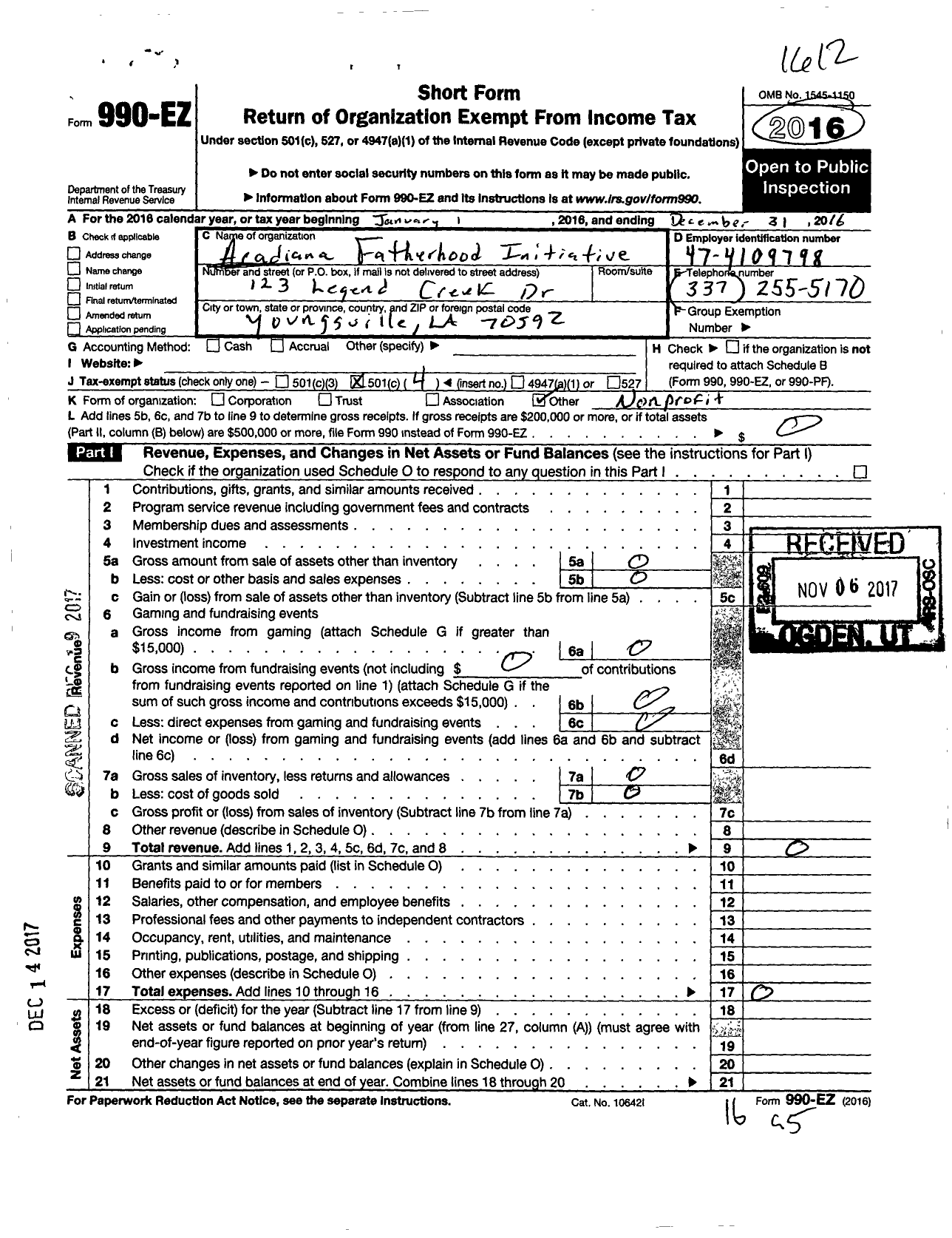 Image of first page of 2016 Form 990EO for Acadiana Fatherhood Initiative