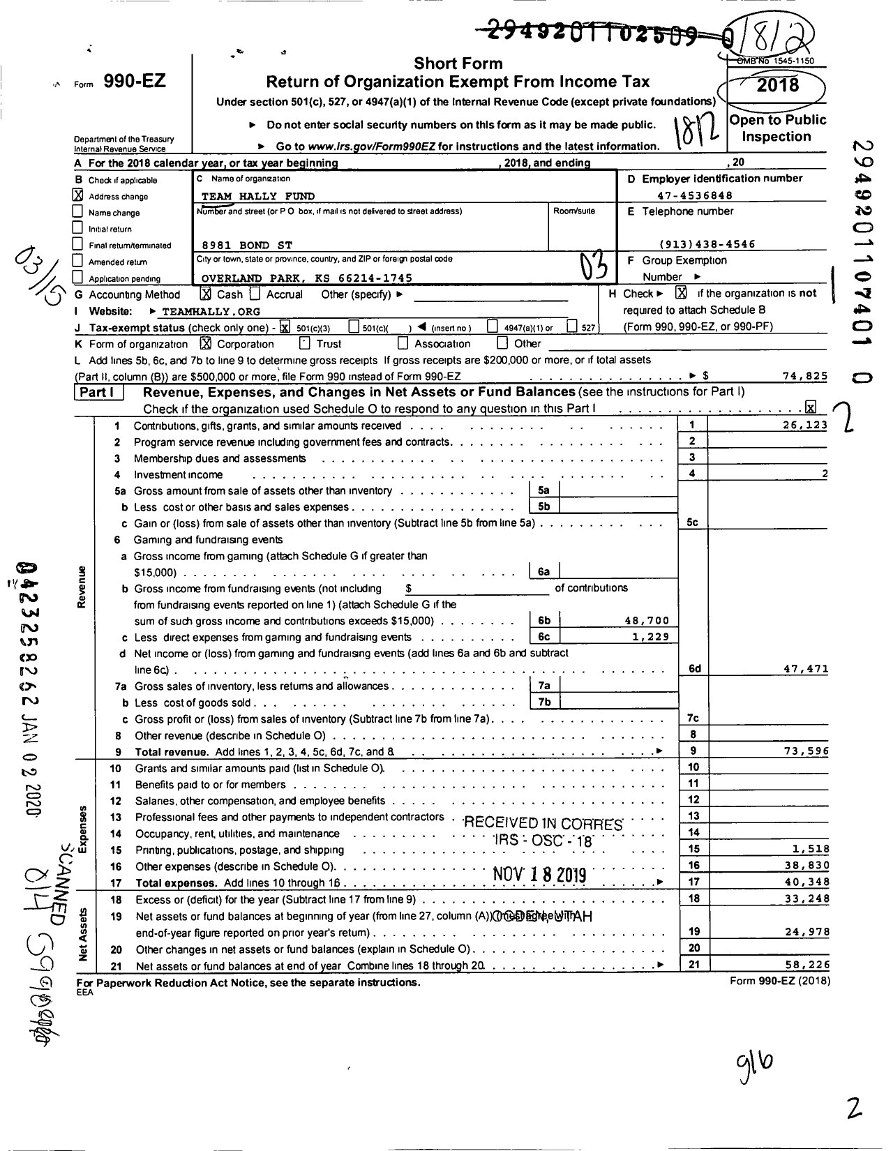 Image of first page of 2018 Form 990EZ for Team Hally Fund