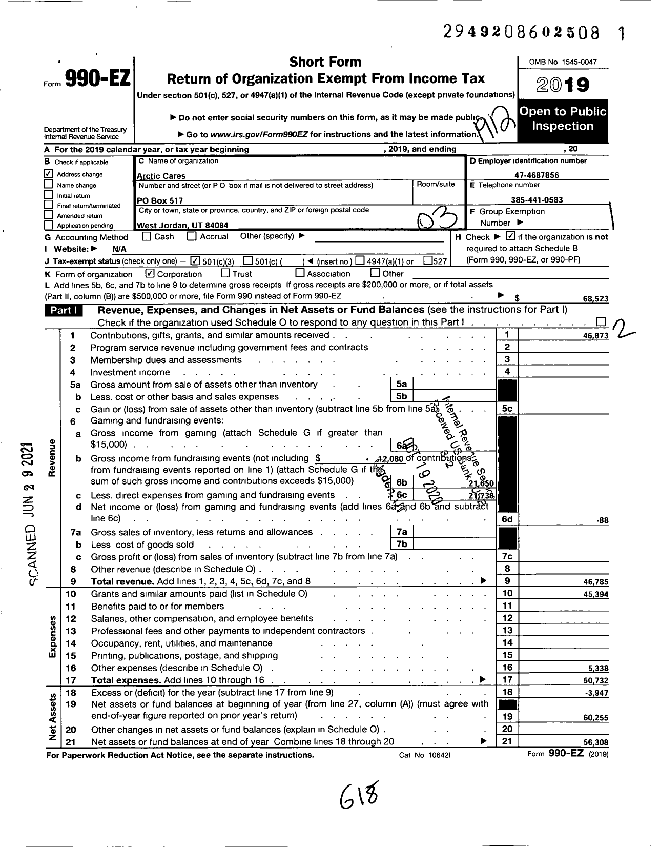 Image of first page of 2019 Form 990EZ for Arctic Cares