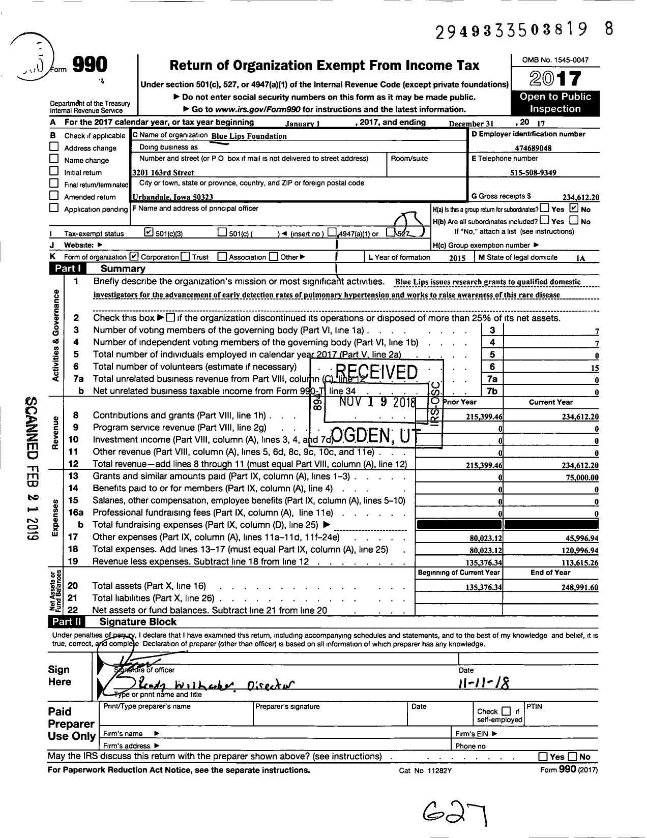 Image of first page of 2017 Form 990 for Blue Lips Foundation