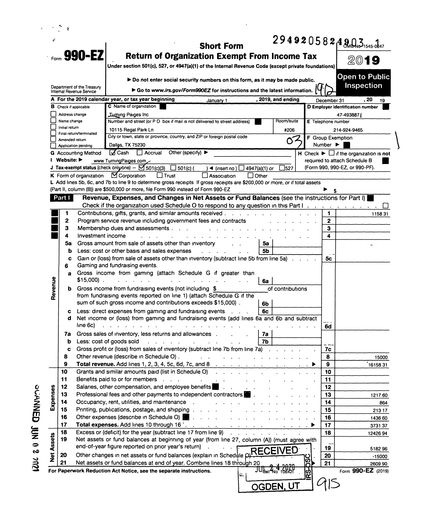 Image of first page of 2019 Form 990EZ for Turning Paiges