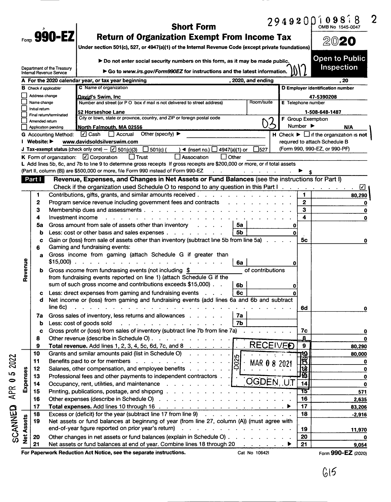 Image of first page of 2020 Form 990EZ for David's Swim