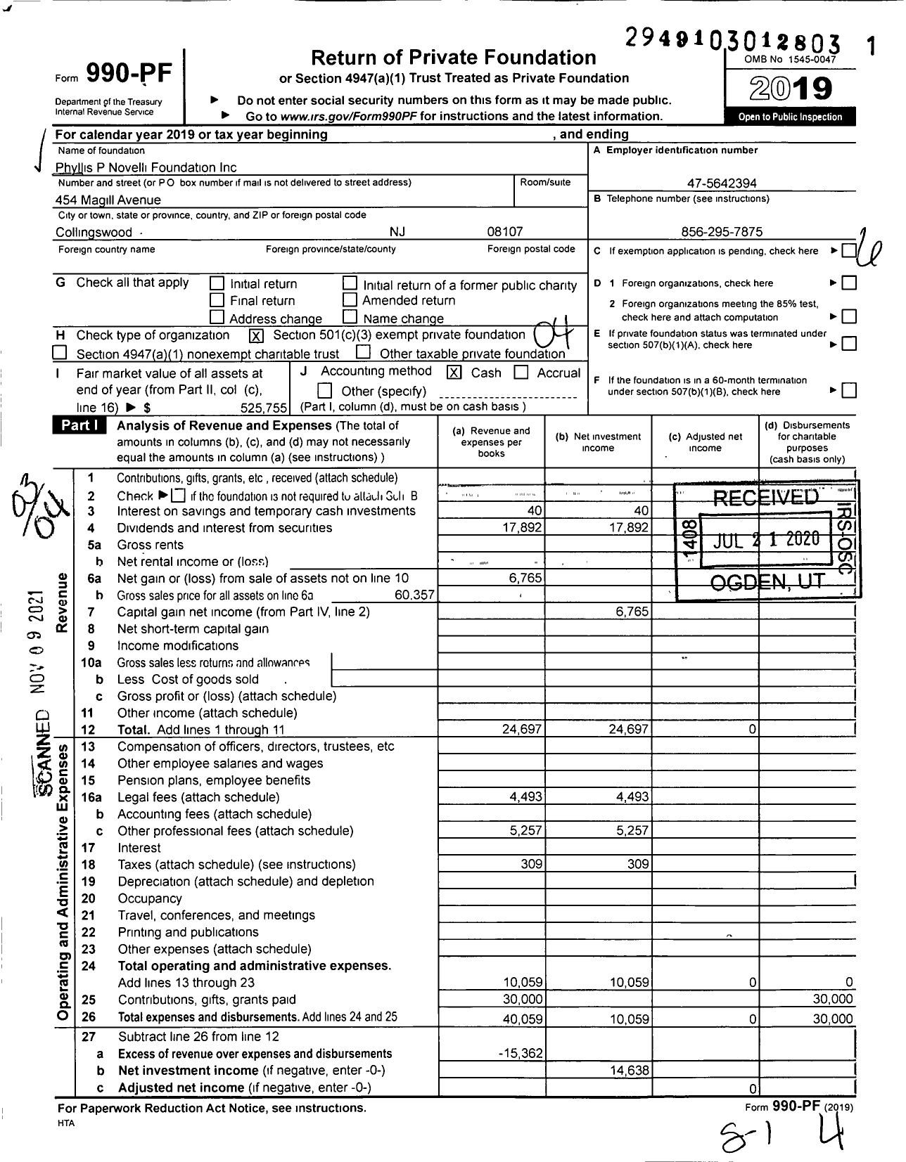 Image of first page of 2019 Form 990PF for Phyllis P Novelli Foundation