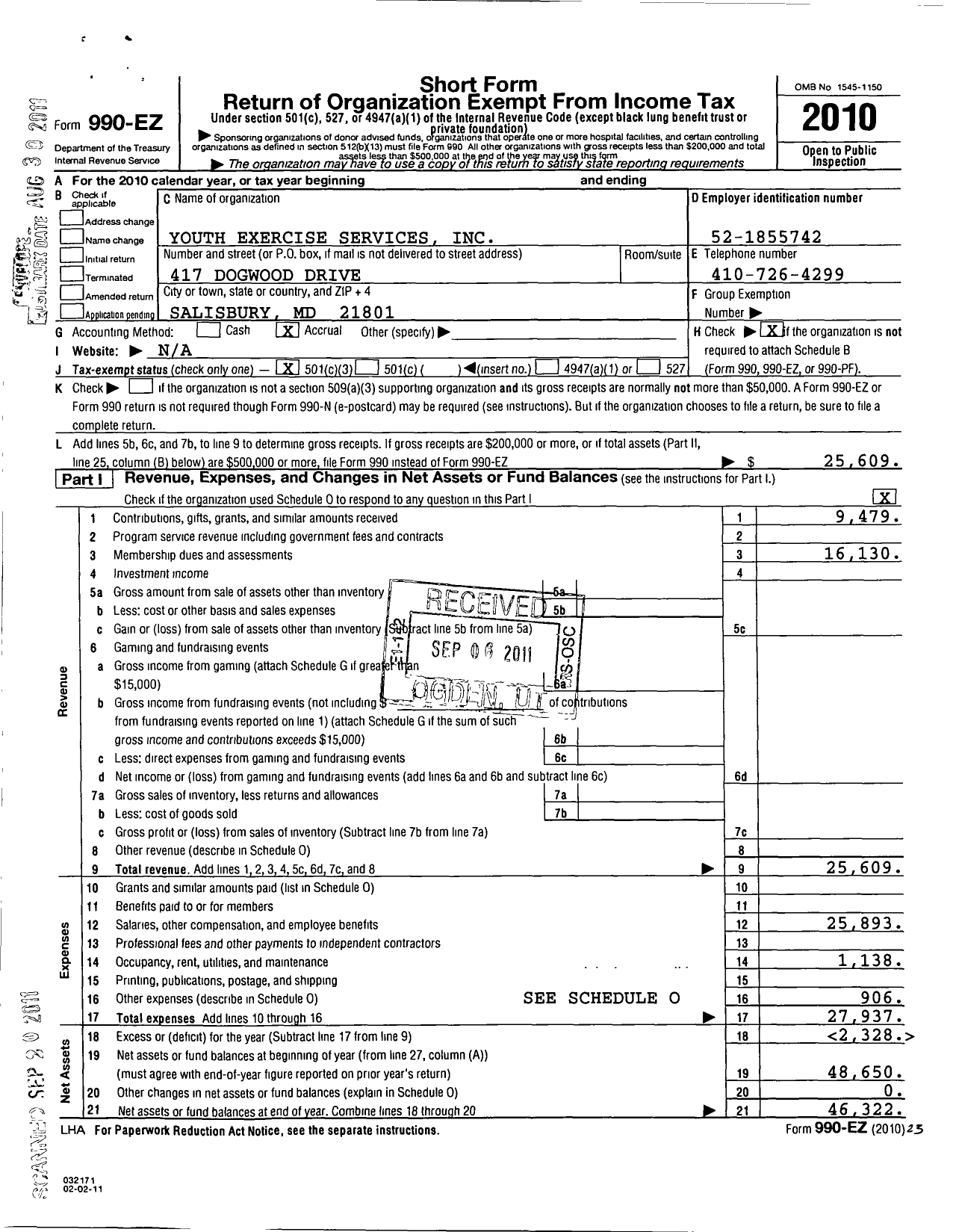 Image of first page of 2010 Form 990EZ for Youth Exercise Services