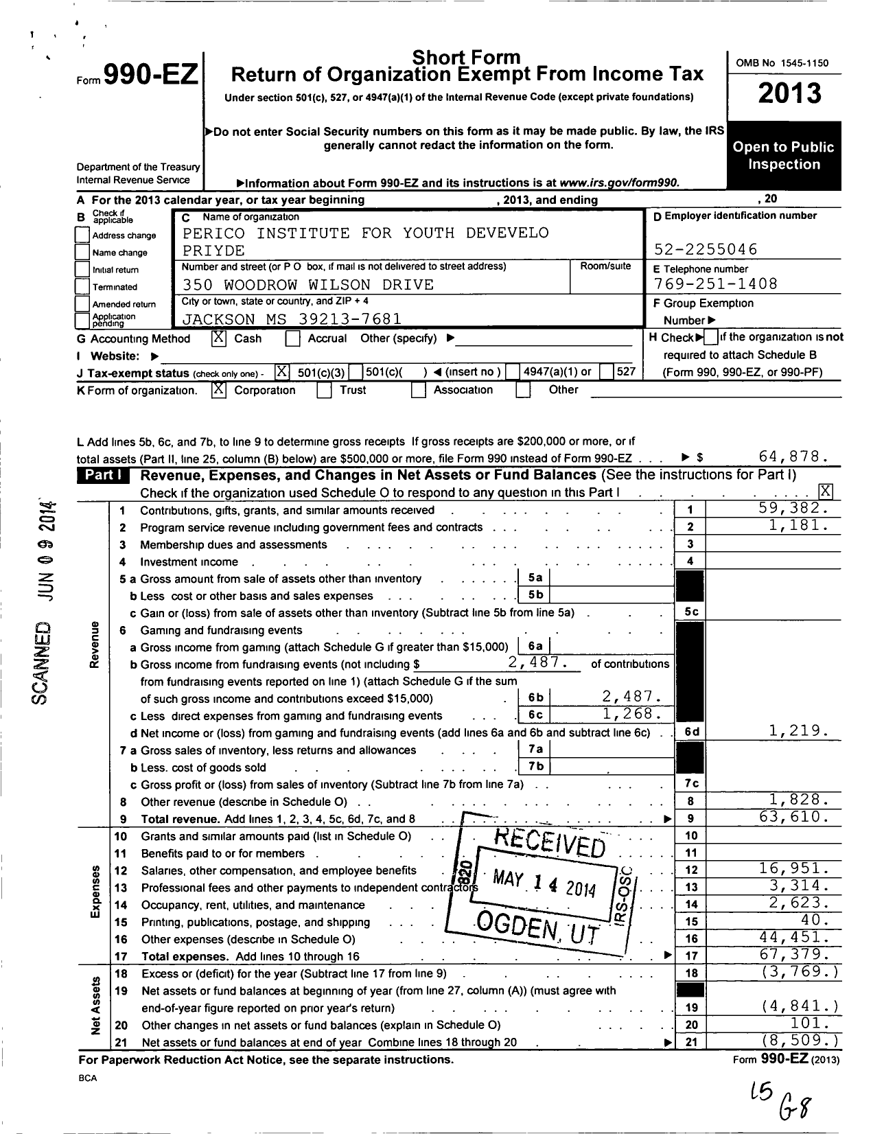 Image of first page of 2013 Form 990EZ for Perico Institute for Youth Devevelo