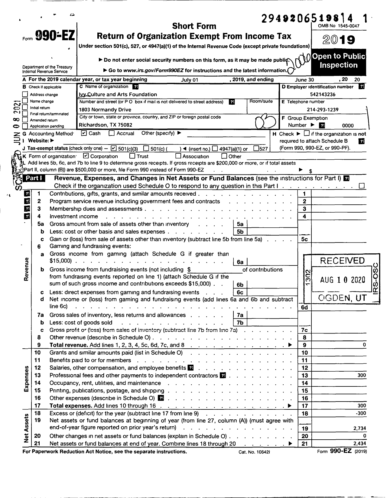 Image of first page of 2019 Form 990EZ for Ivy Culture and Arts Foundation