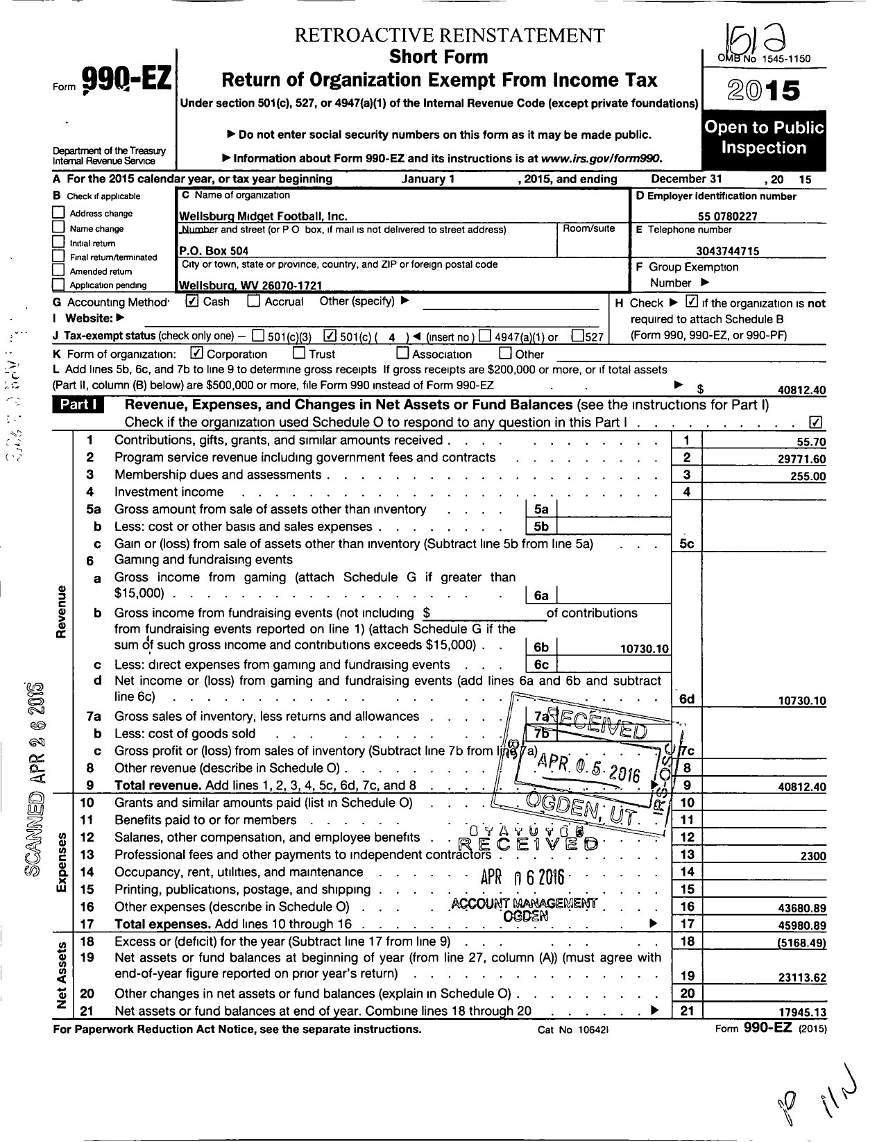 Image of first page of 2015 Form 990EO for Wellsburg Midget Football