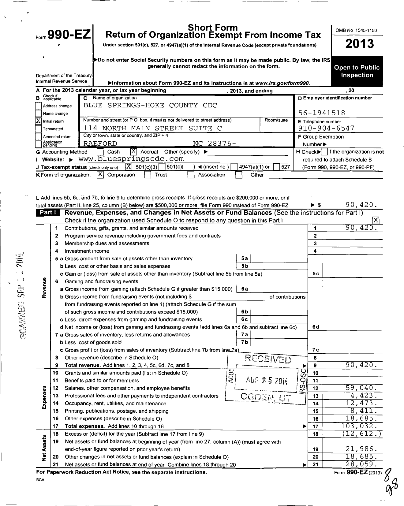 Image of first page of 2013 Form 990EZ for Blue Springs-Hoke County CDC