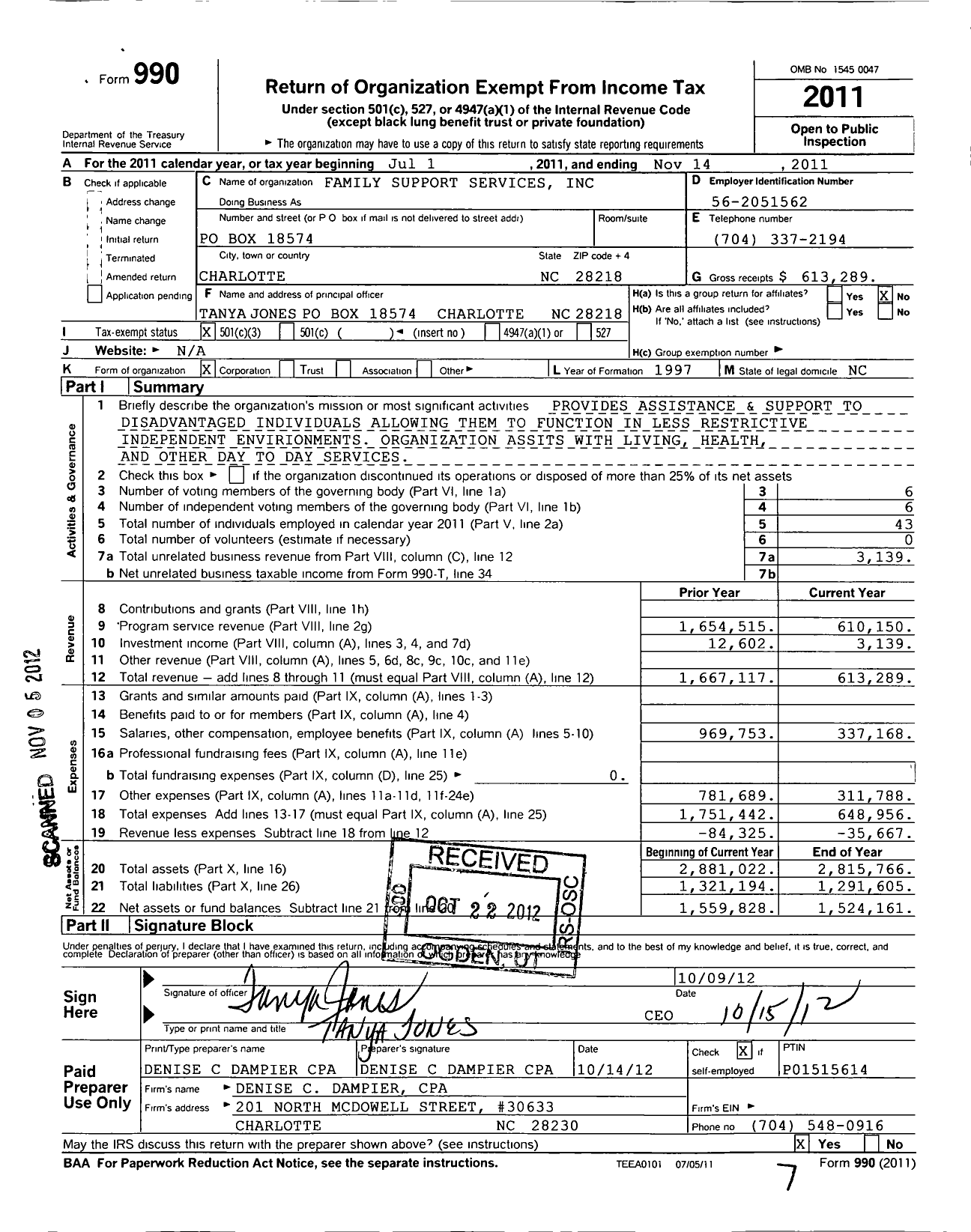 Image of first page of 2010 Form 990 for Family Support Services