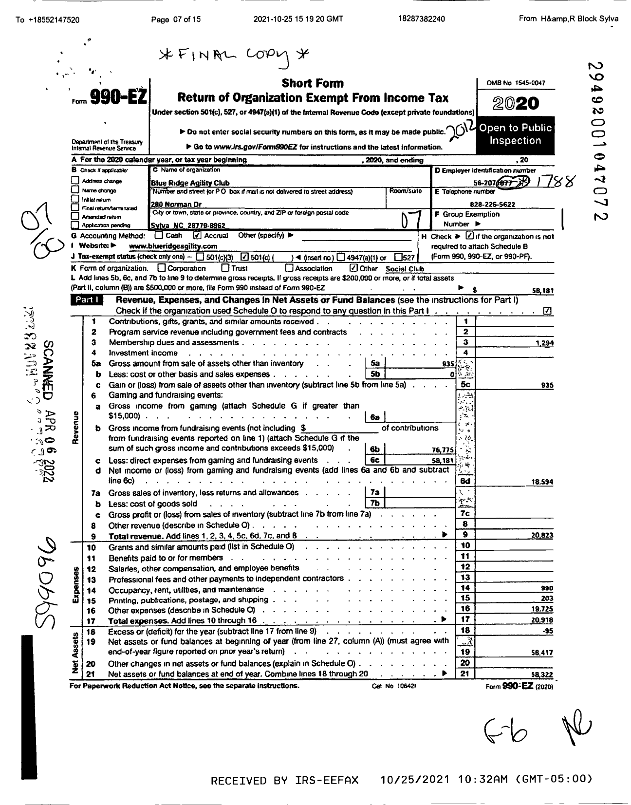 Image of first page of 2020 Form 990EO for Blue Ridge Agility Club