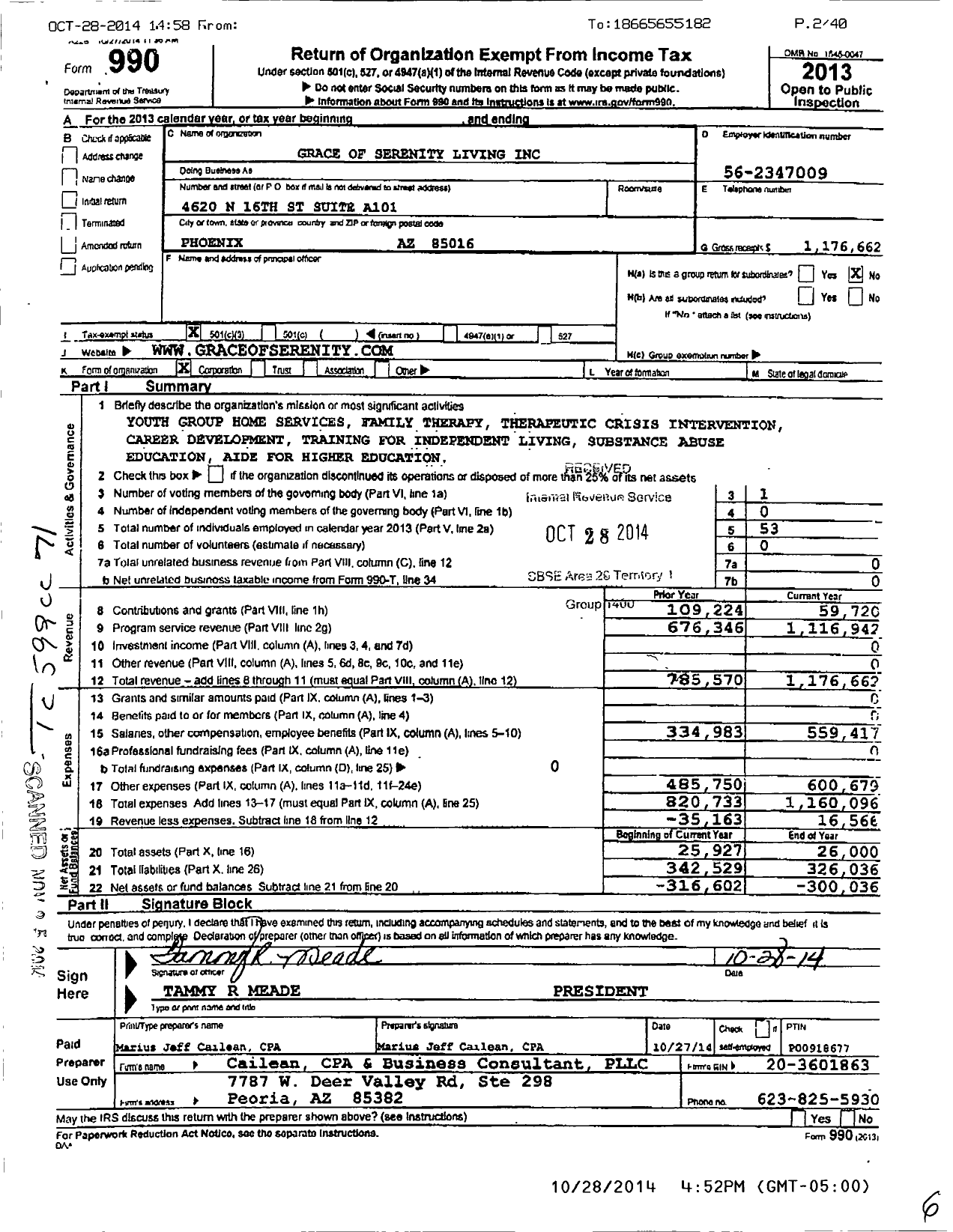 Image of first page of 2013 Form 990 for Grace of Serenity Living