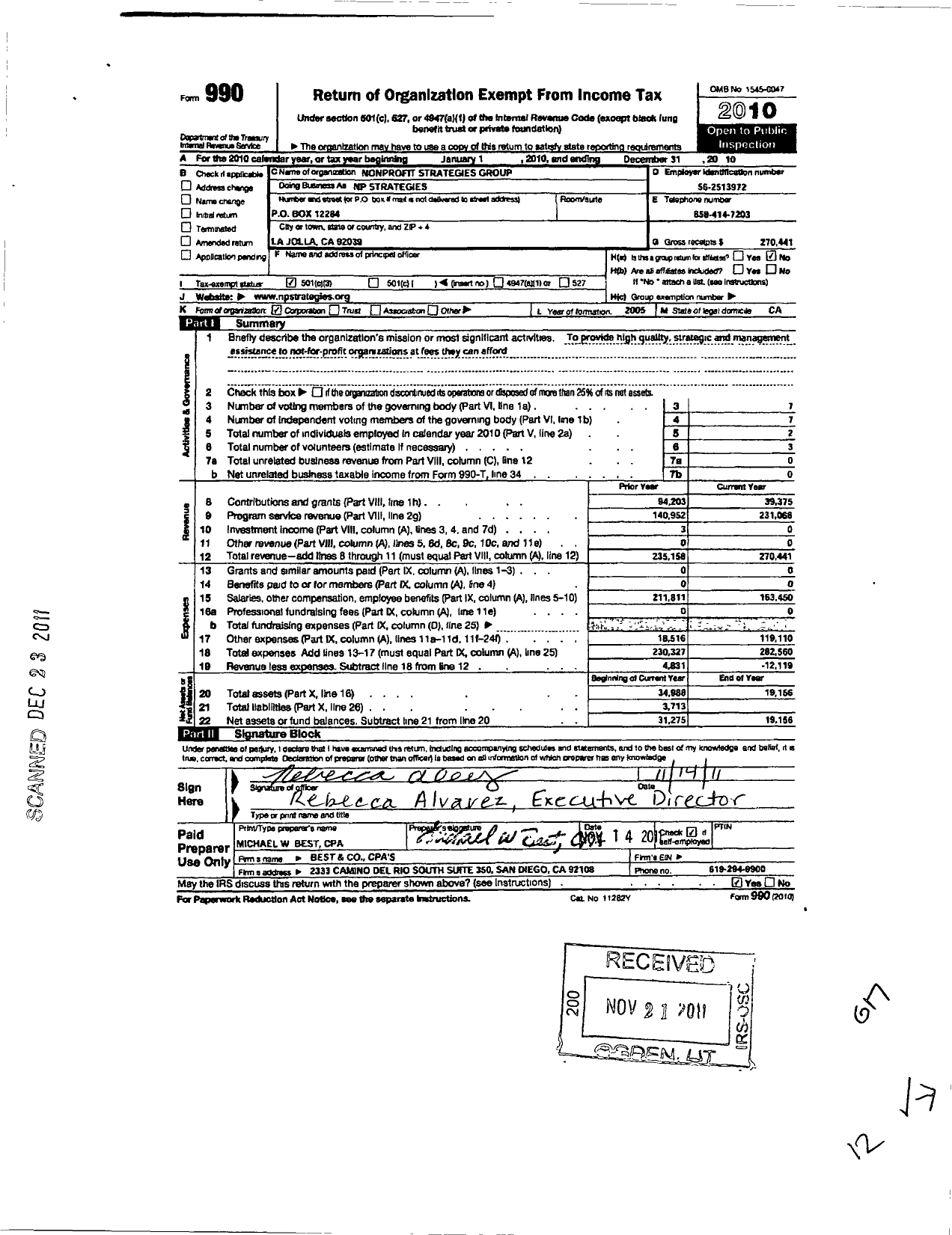 Image of first page of 2010 Form 990 for Nonprofit Strategies Group