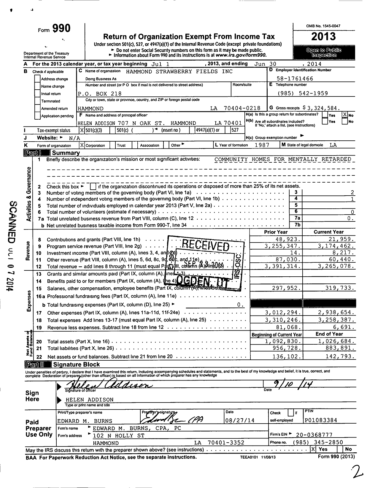 Image of first page of 2013 Form 990 for Hammond Strawberry Fields