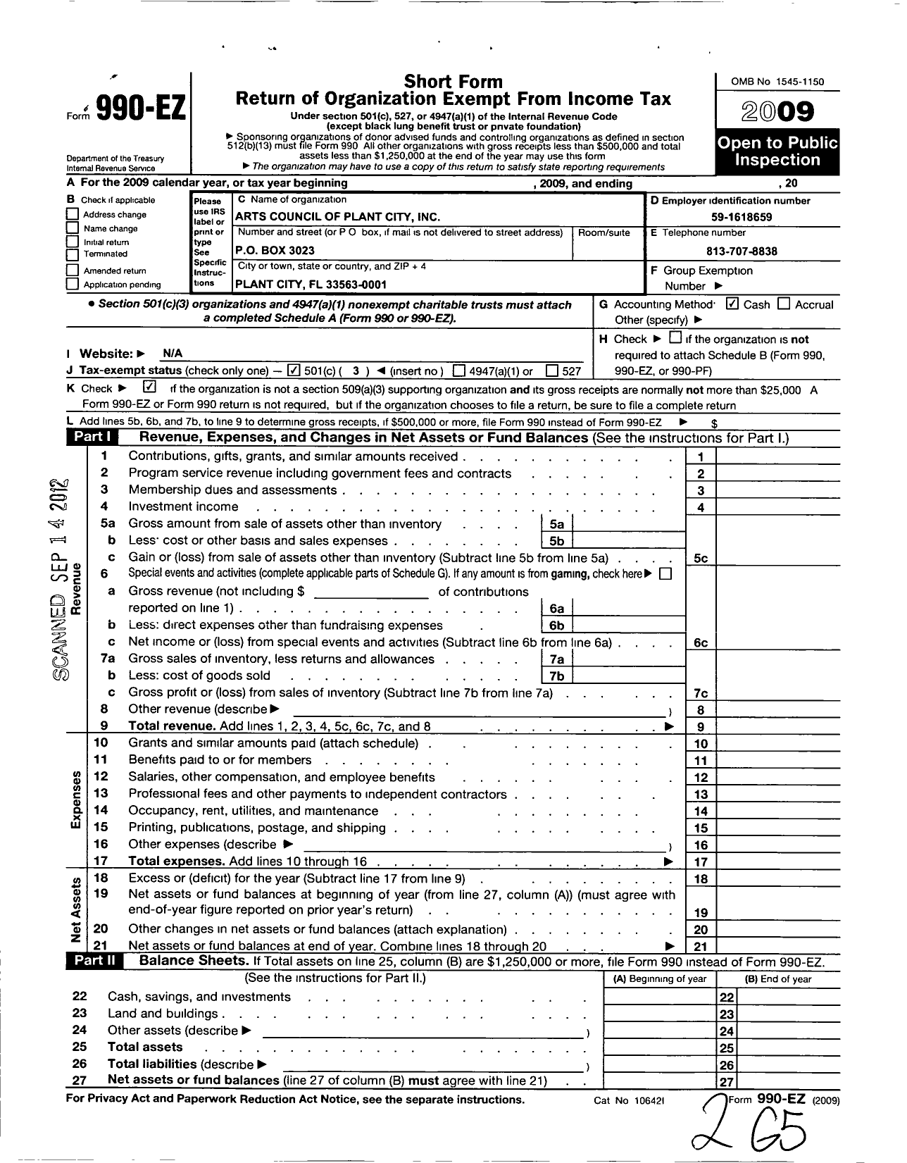 Image of first page of 2009 Form 990EZ for Arts Council of Plant City