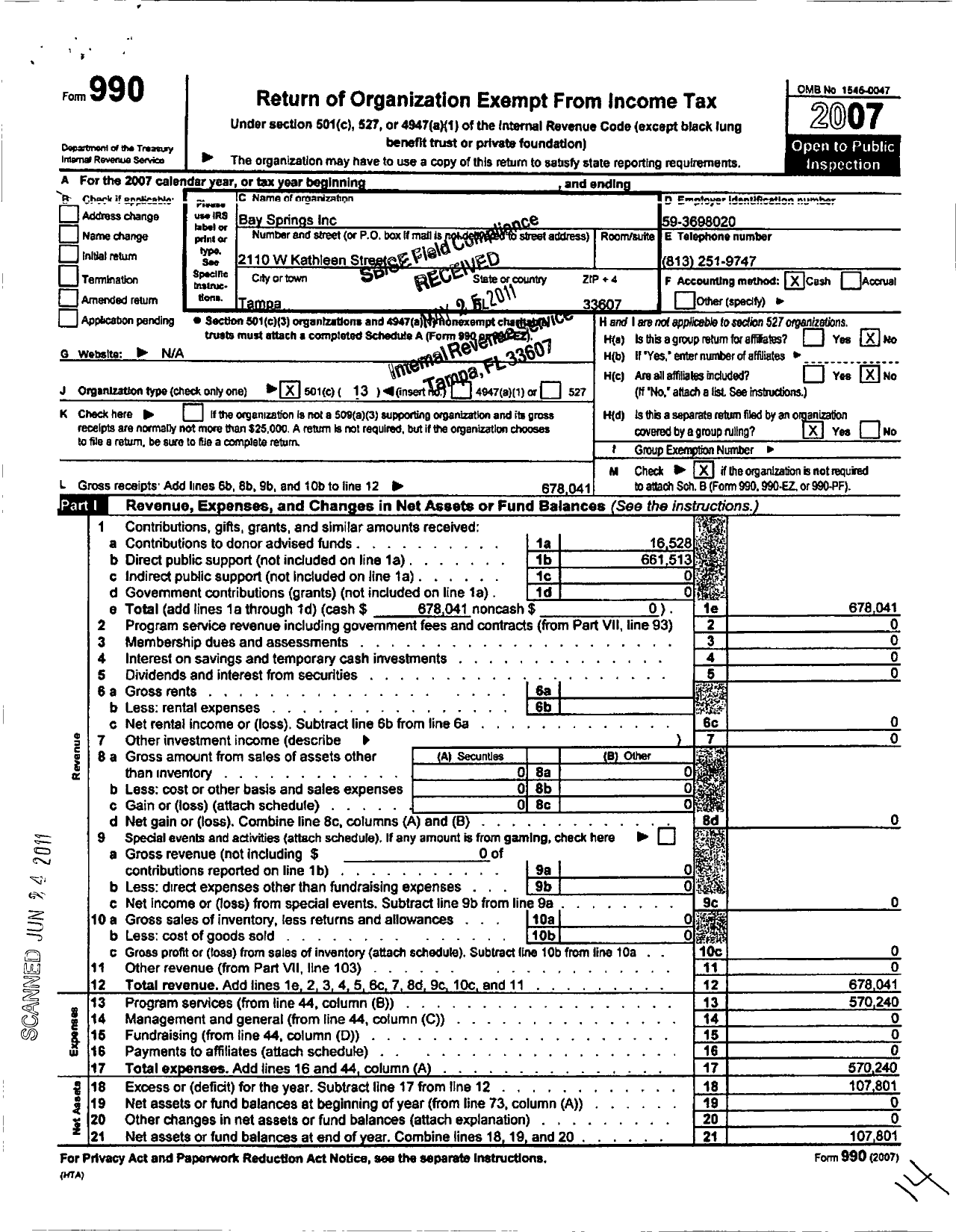 Image of first page of 2007 Form 990O for Bay Springs Incorporated