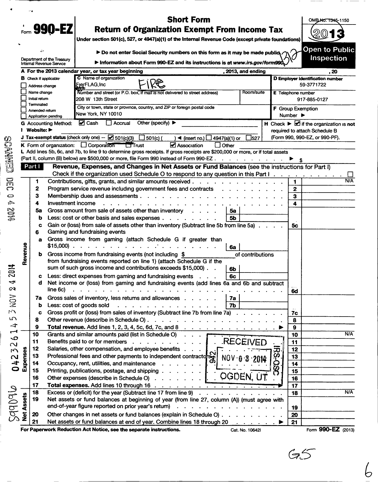 Image of first page of 2013 Form 990EZ for Fireflag