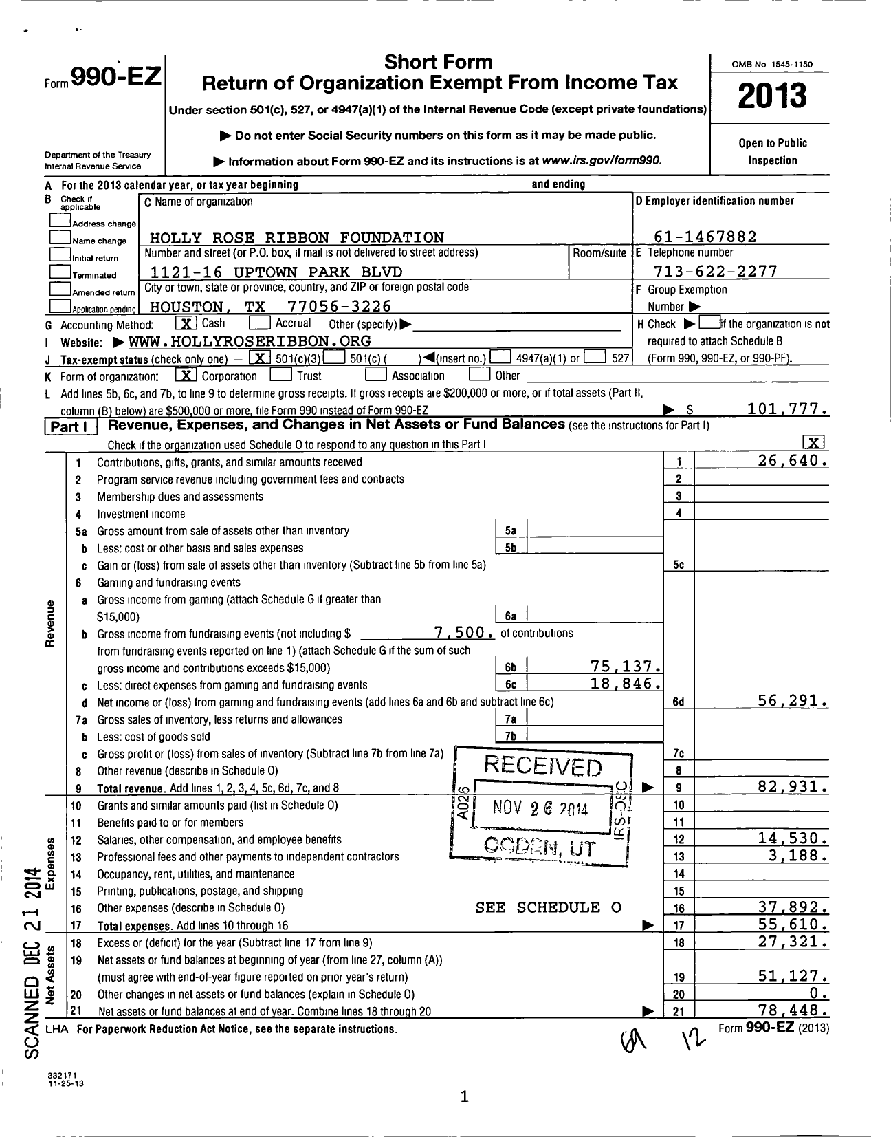 Image of first page of 2013 Form 990EZ for The Holly Rose Ribbon Foundation