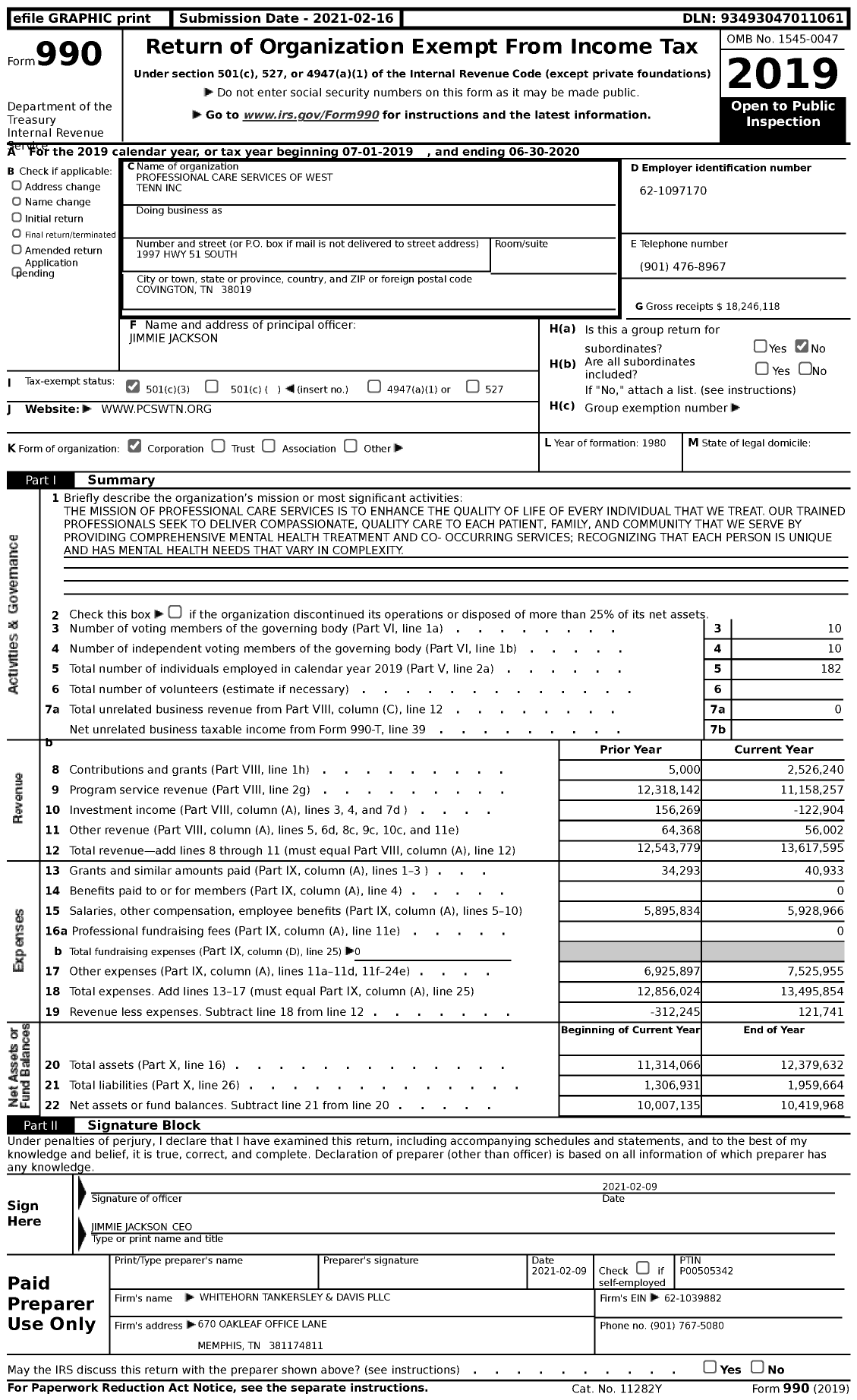 Image of first page of 2019 Form 990 for Professional Care Services of West Tennessee