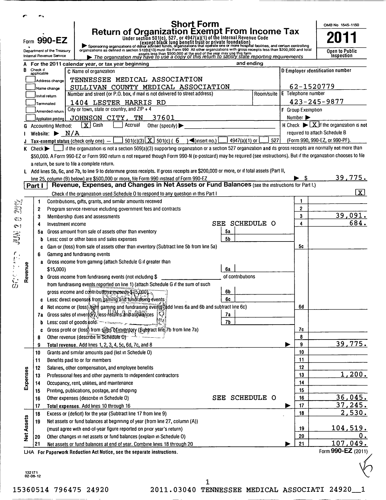Image of first page of 2011 Form 990EO for Tennessee Medical Association / Sullivan County Medical Assn
