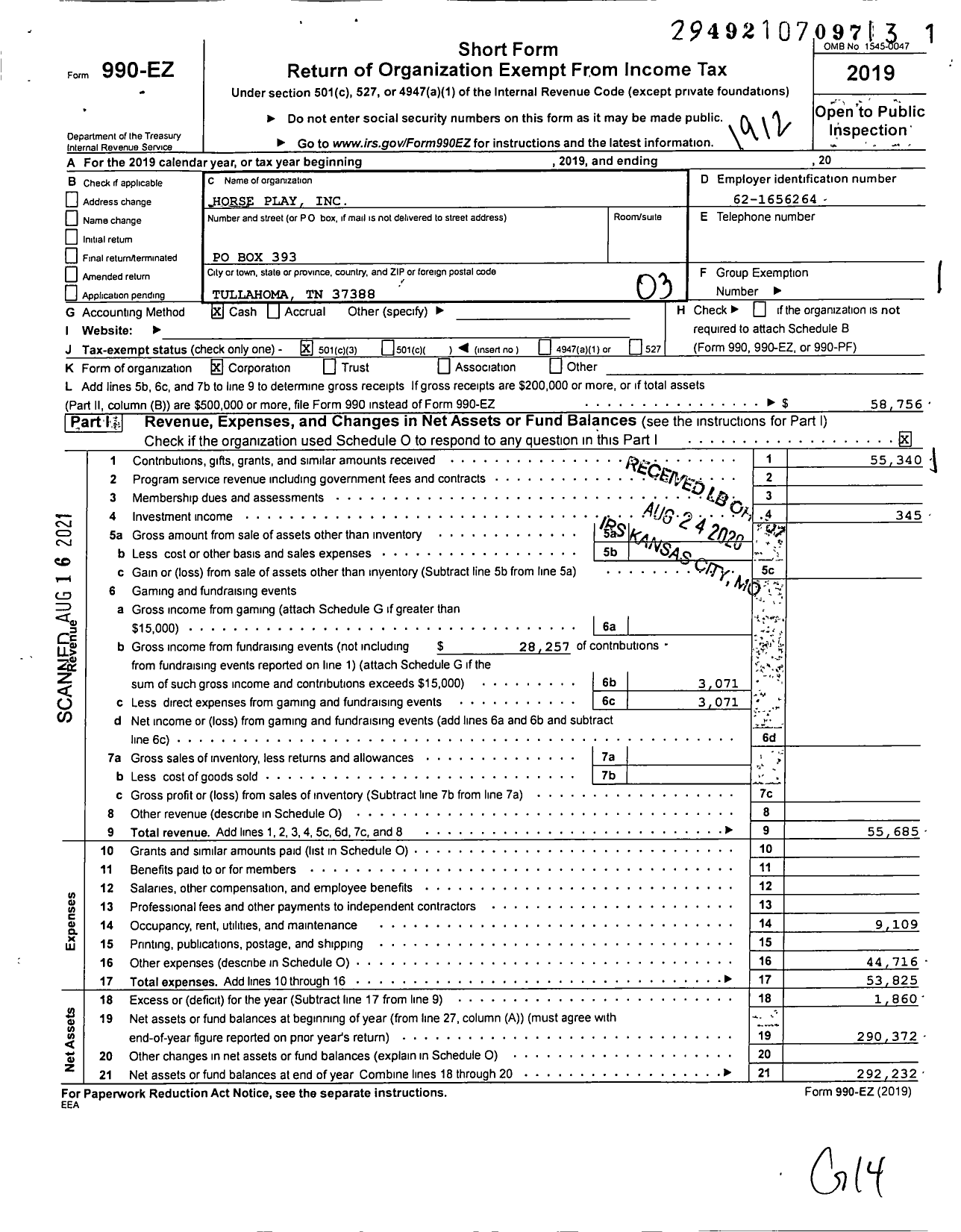 Image of first page of 2019 Form 990EZ for Horse Play