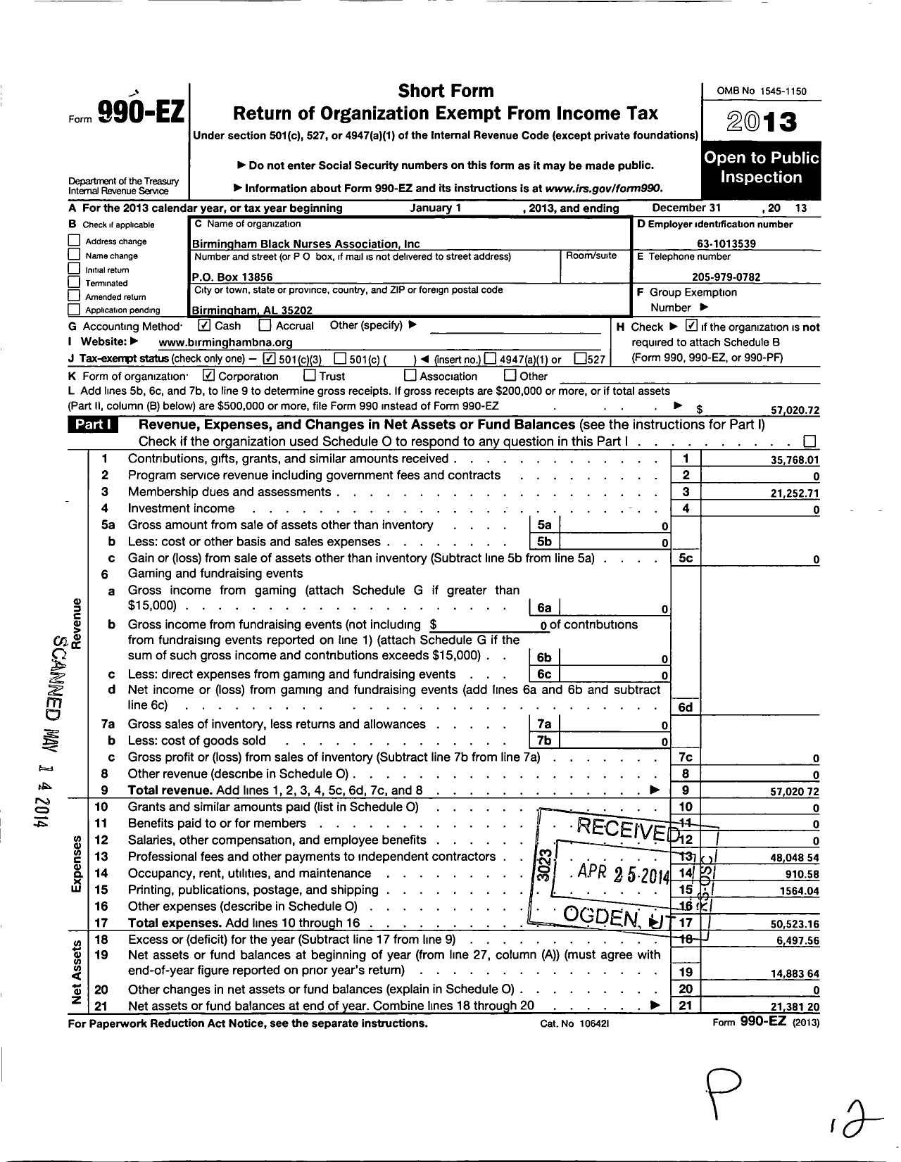 Image of first page of 2013 Form 990EZ for National Black Nurses Association