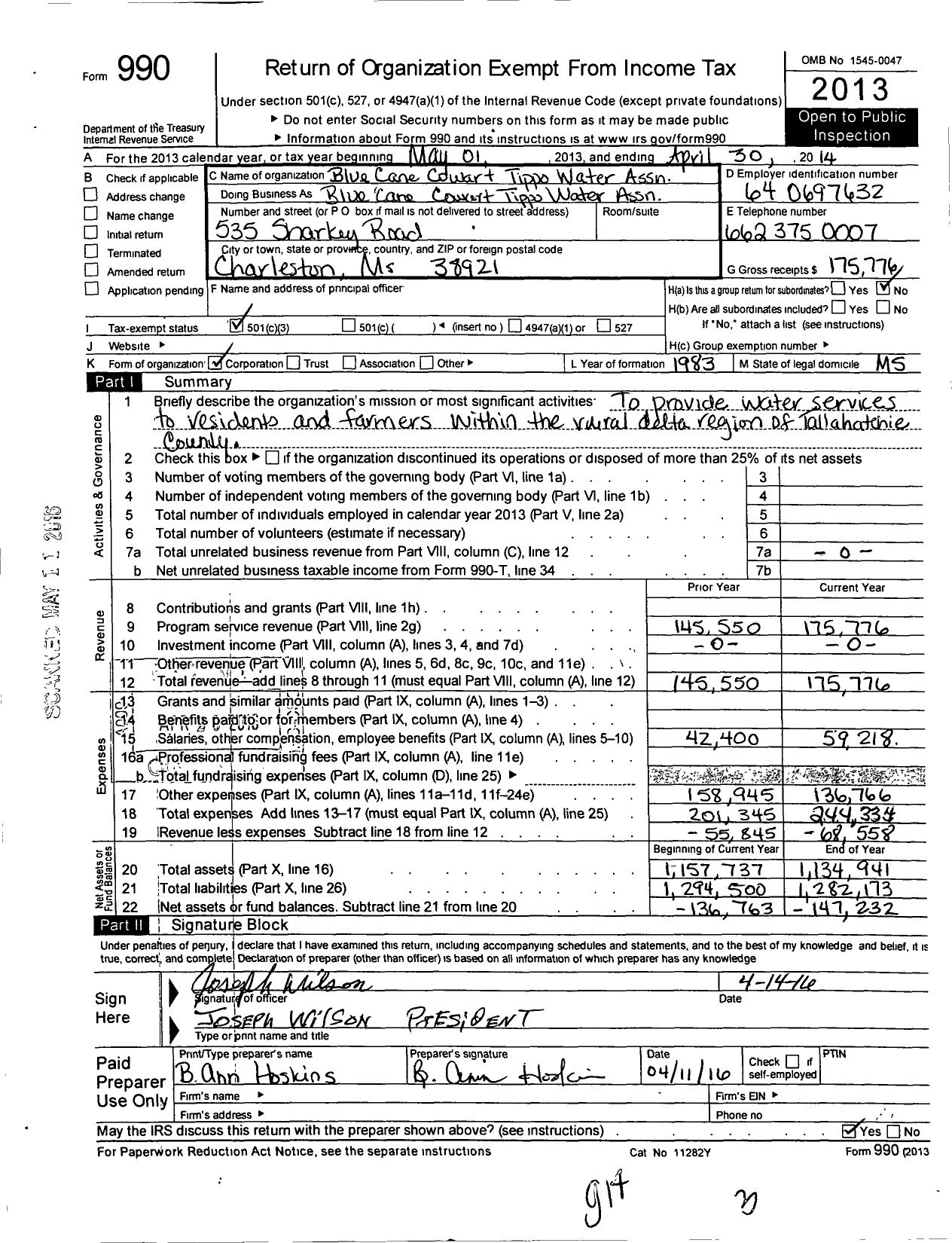 Image of first page of 2013 Form 990 for Blue Cane-Cowart-Tippo Water