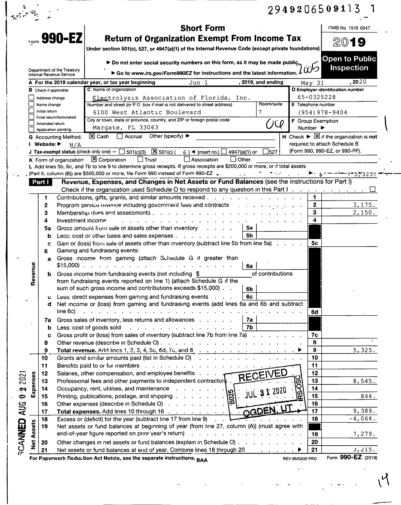 Image of first page of 2019 Form 990EO for Electrolysis Association of Florida