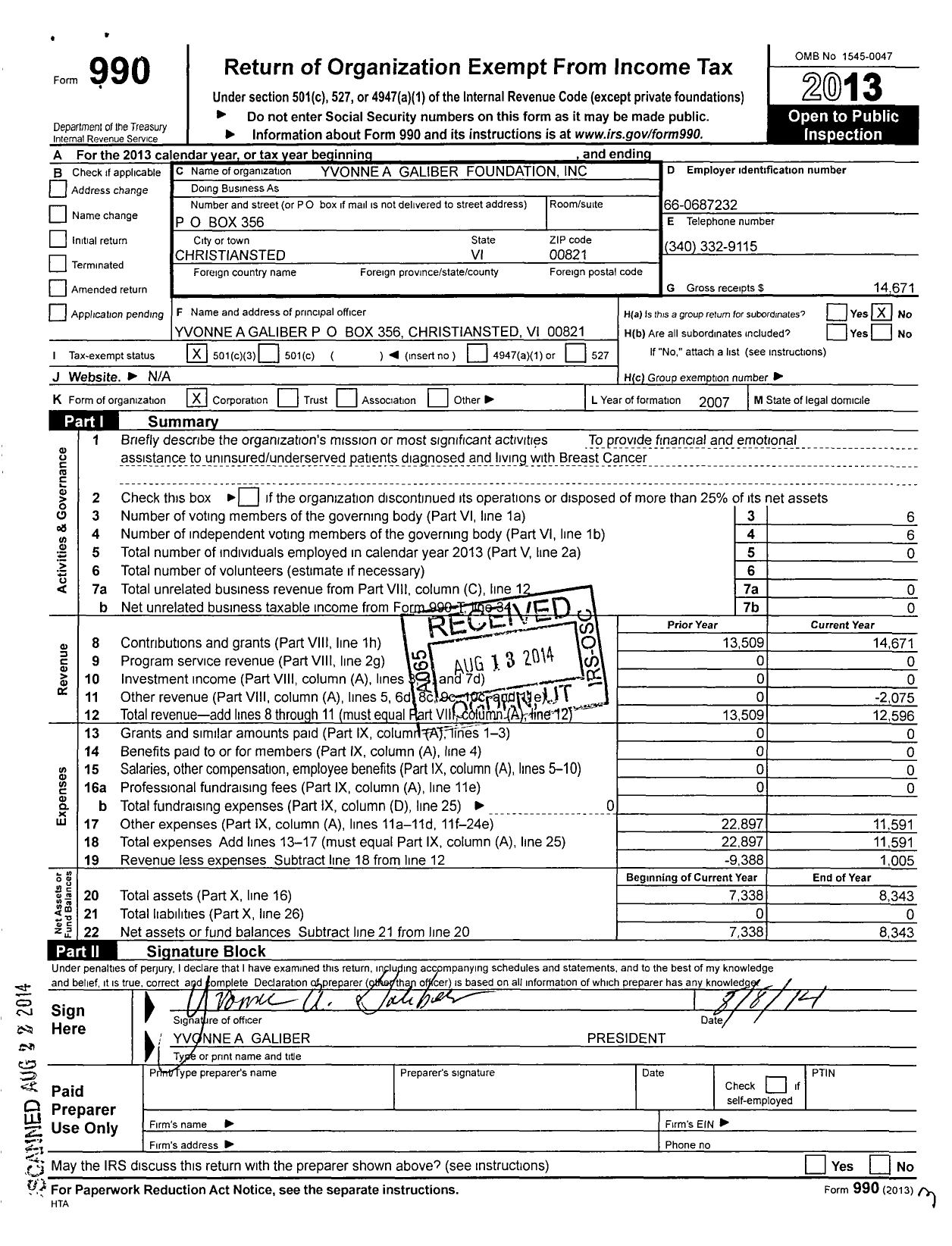 Image of first page of 2013 Form 990 for Yvonne Ashley Galiber Foundation - Yag