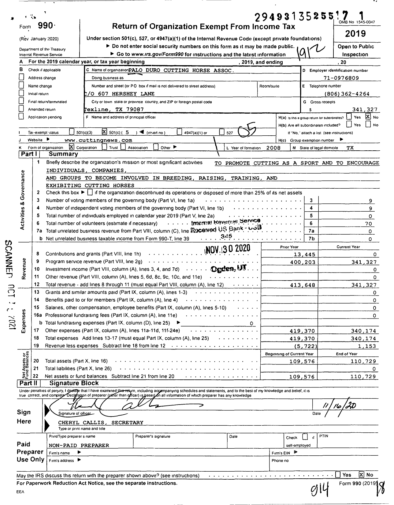 Image of first page of 2019 Form 990O for Palo Duro Cutting Horse Association