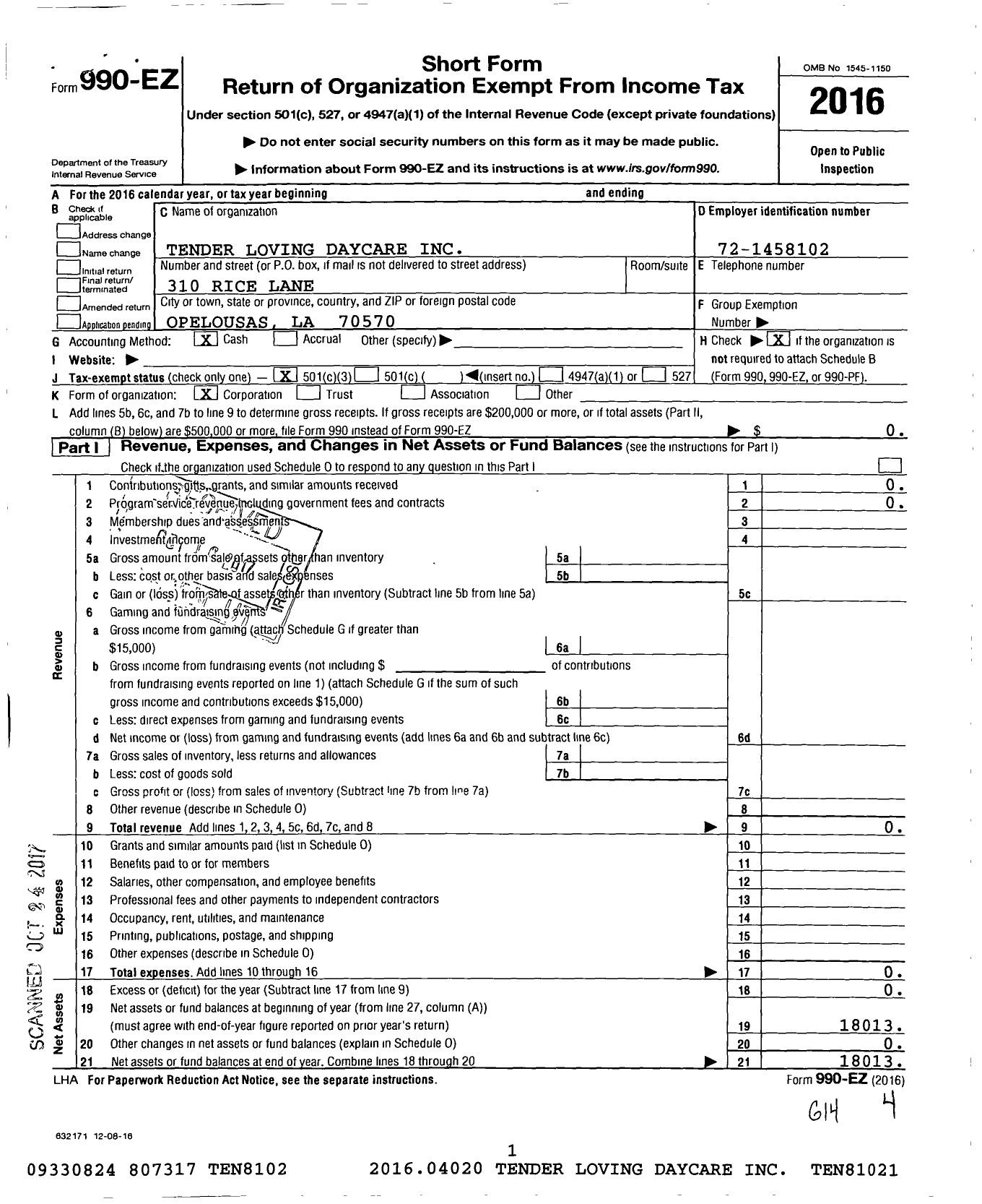 Image of first page of 2016 Form 990EZ for Tender Loving Daycare