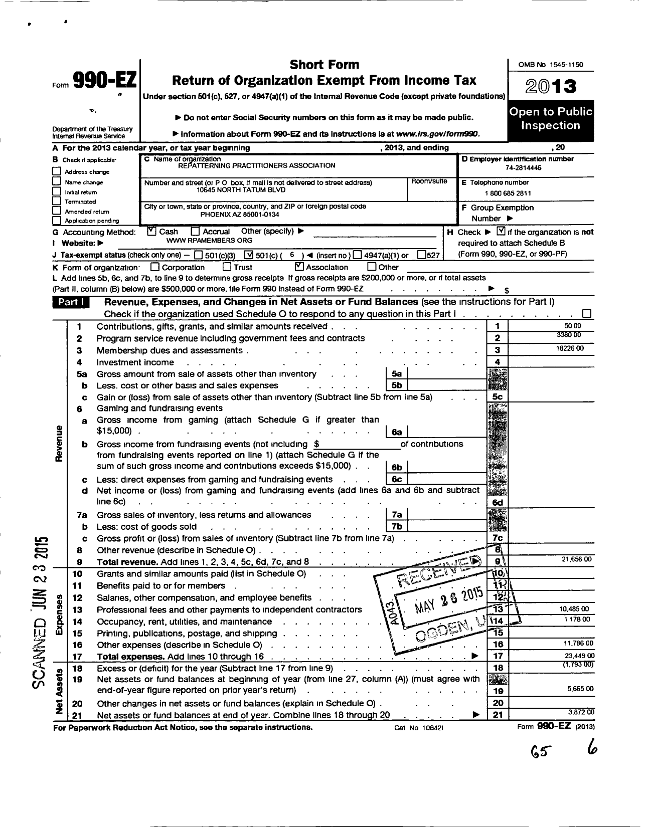 Image of first page of 2013 Form 990EO for Repatterning Practitioners Association