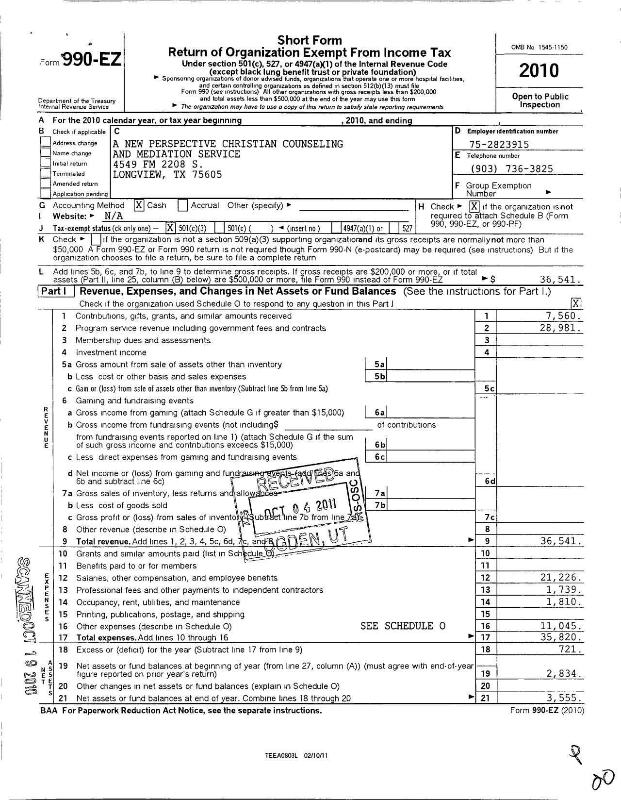 Image of first page of 2010 Form 990EZ for A New Perspective