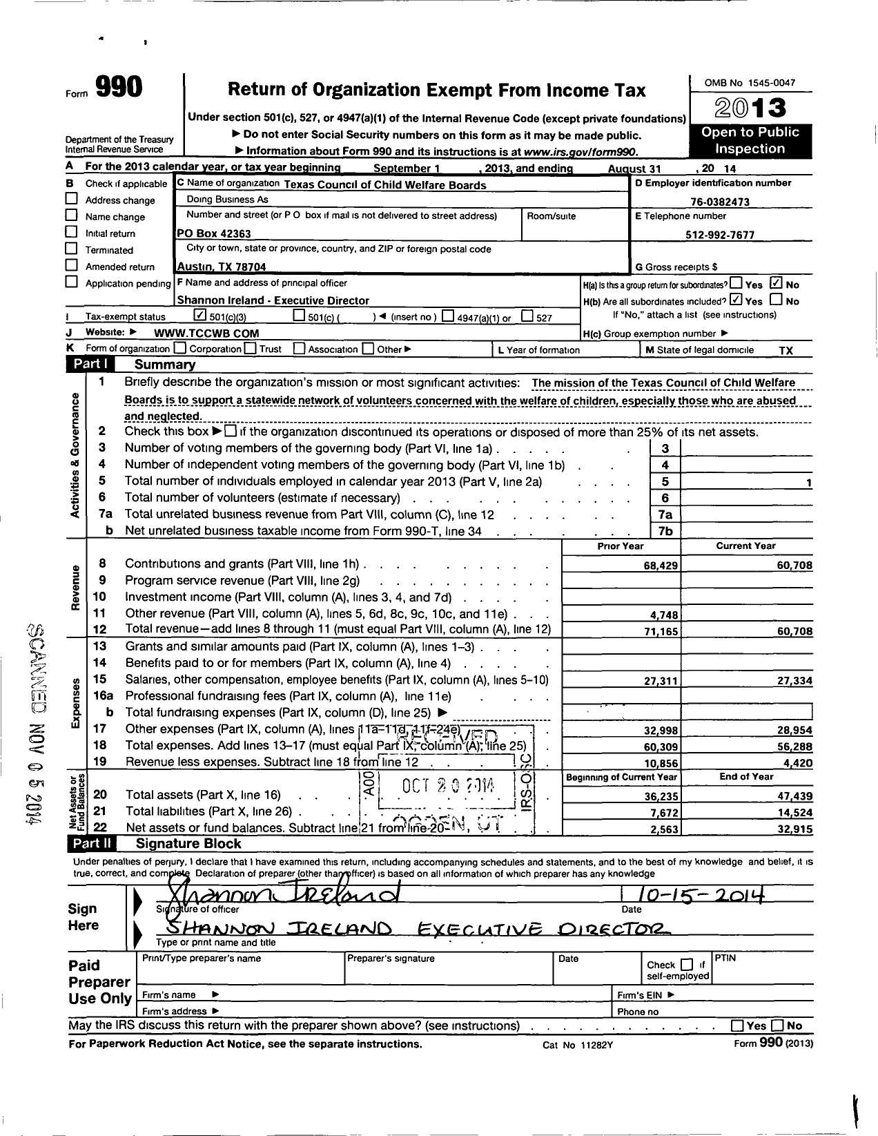 Image of first page of 2013 Form 990 for Texas Council of Child Welfare Boards