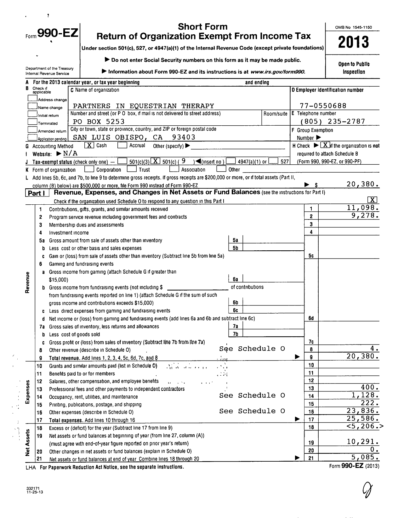 Image of first page of 2013 Form 990EO for Partners Equestrian Therapy