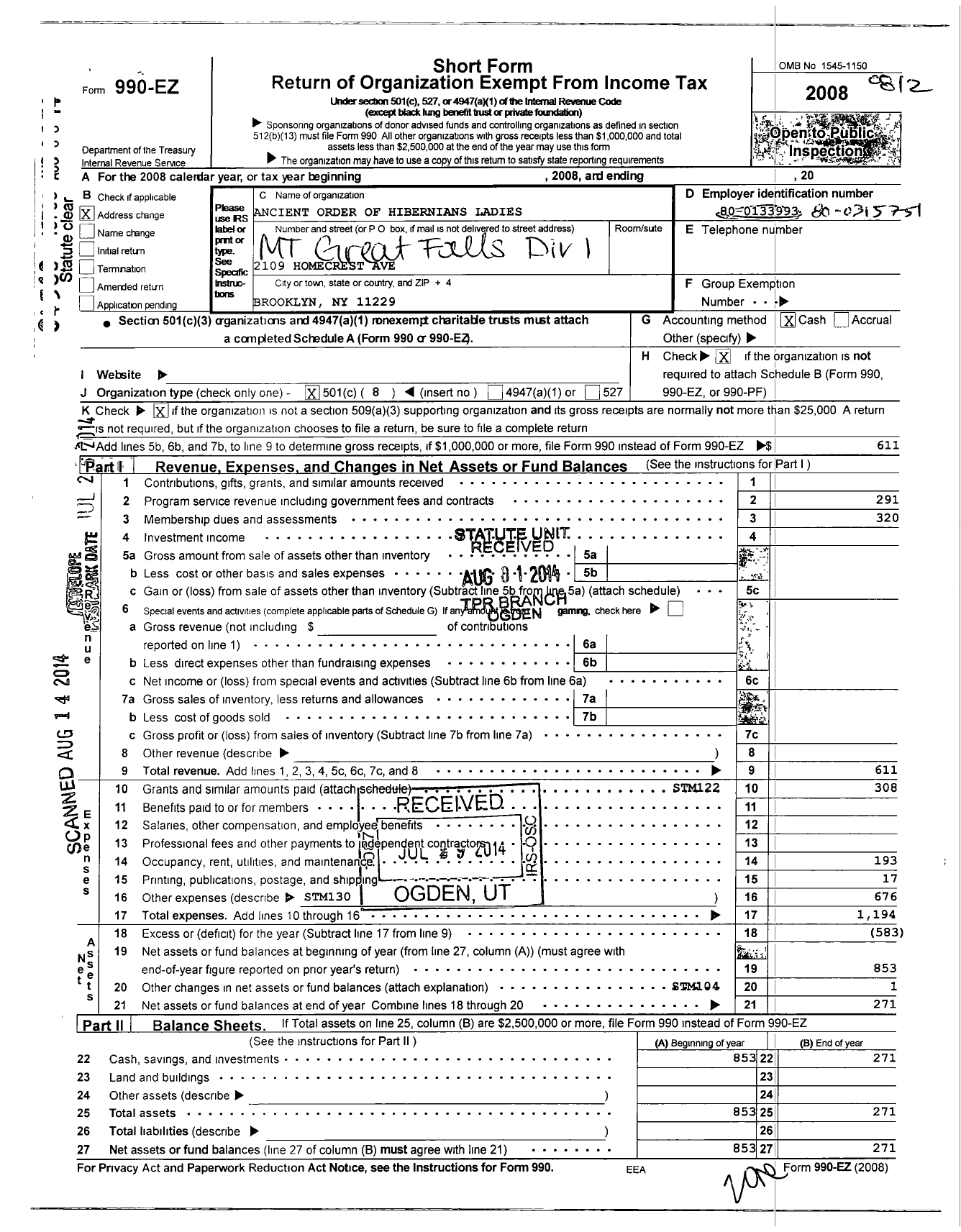 Image of first page of 2013 Form 990EO for Ancient Order of Hibernians Ladies