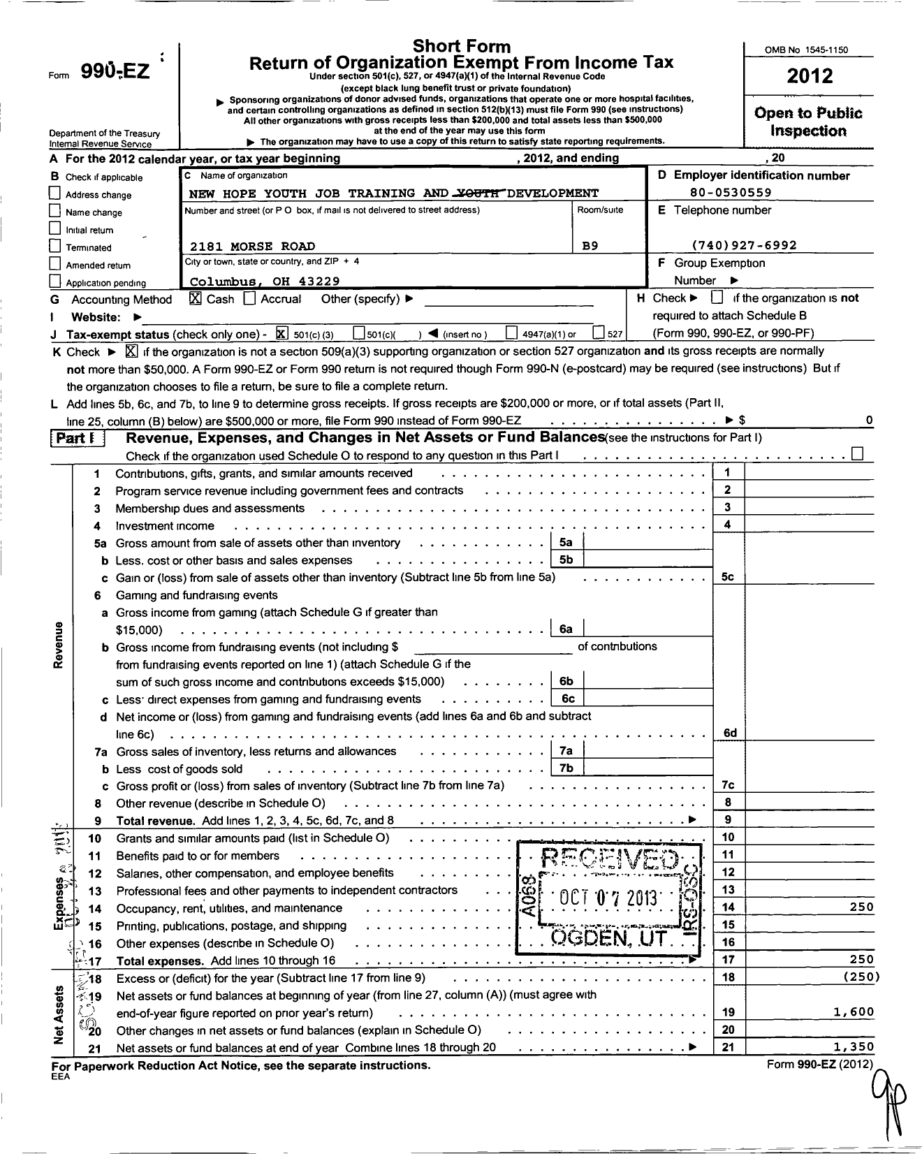 Image of first page of 2012 Form 990EZ for New Hope Youth Job Training