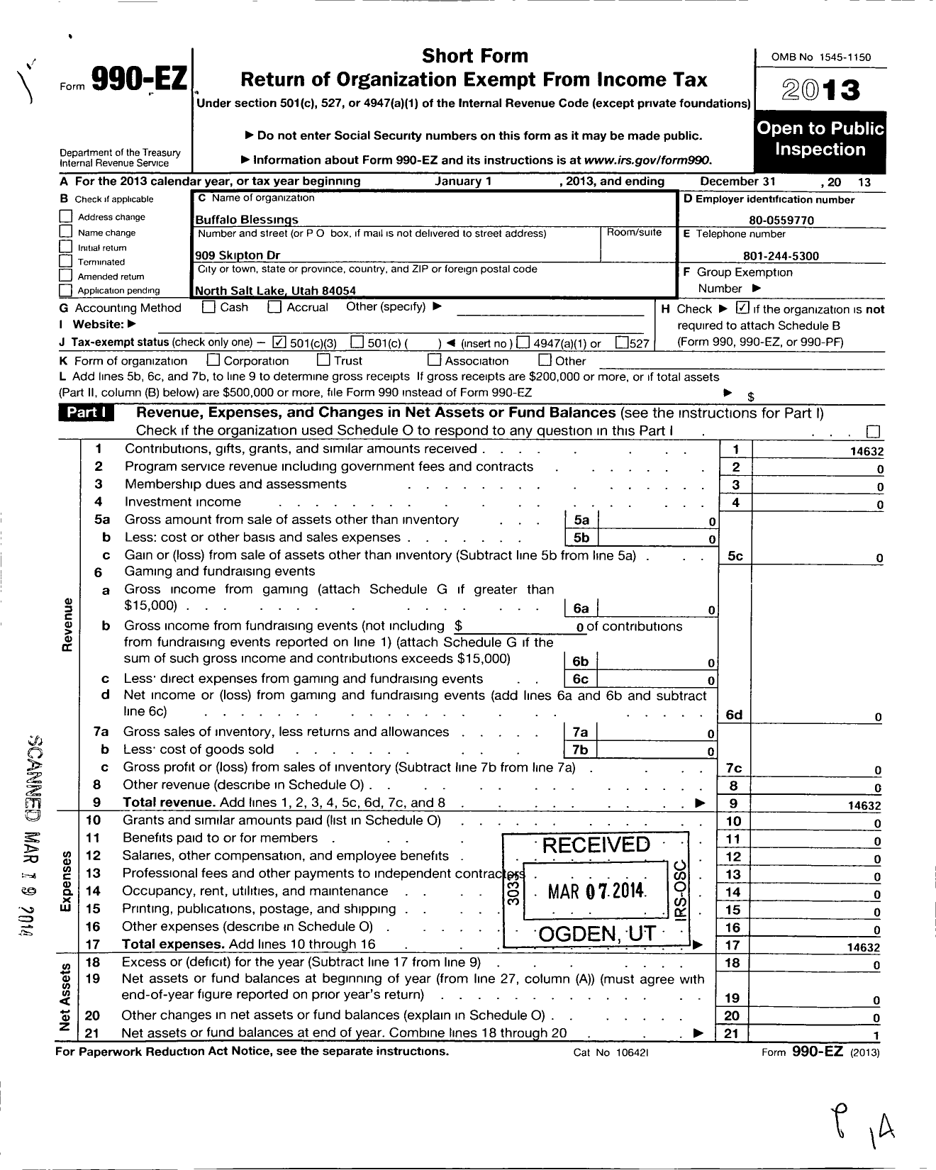 Image of first page of 2013 Form 990EZ for Buffalo Blessings