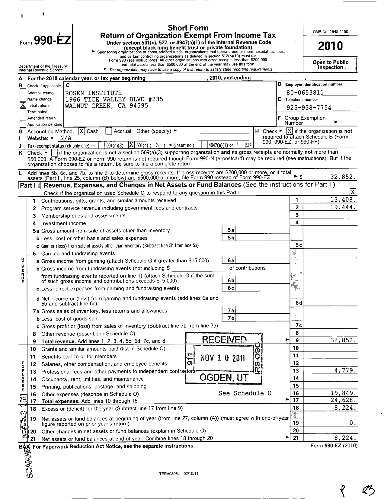 Image of first page of 2010 Form 990EO for Rosen Institute