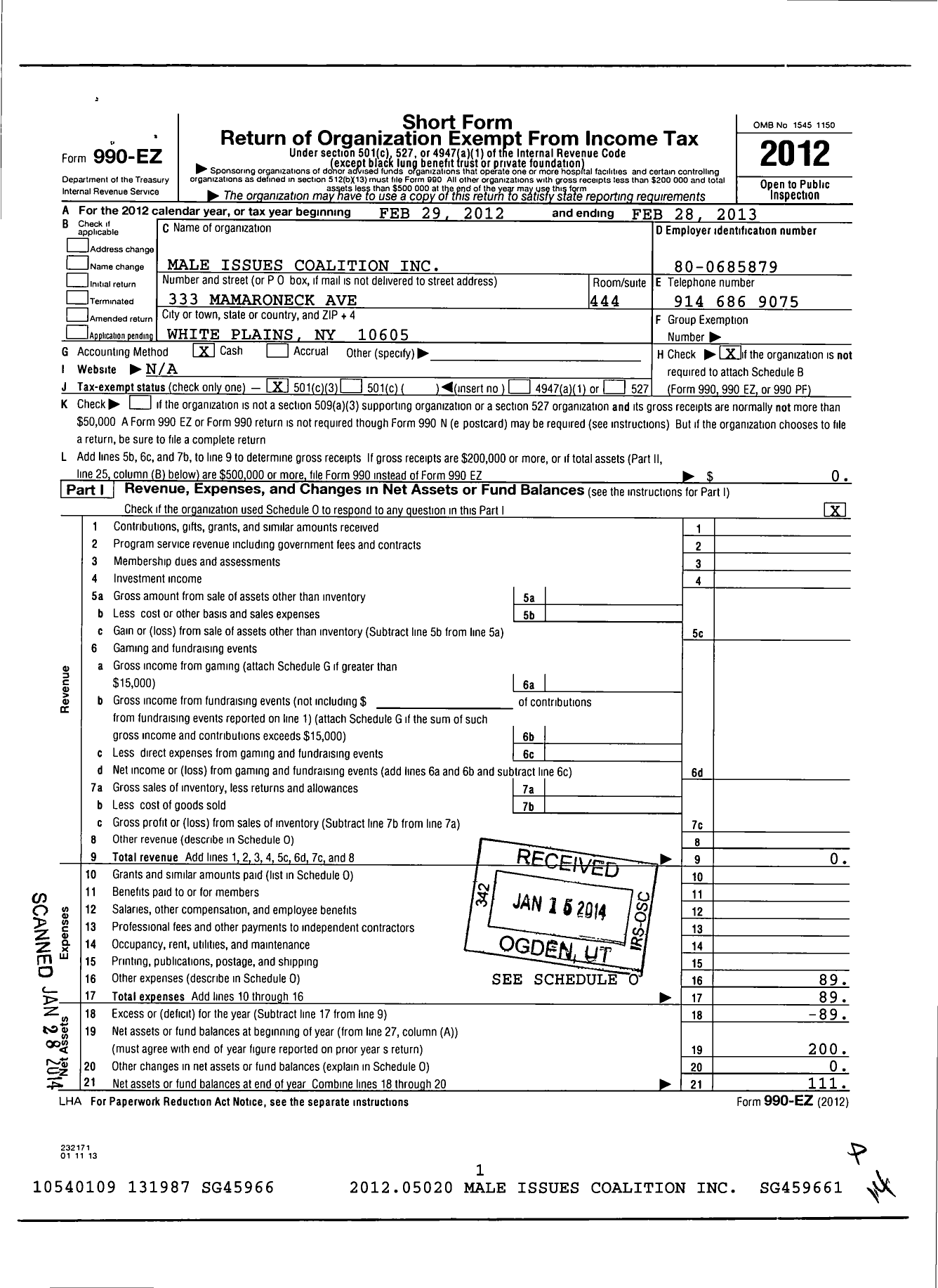 Image of first page of 2012 Form 990EZ for Male Issues Coalition