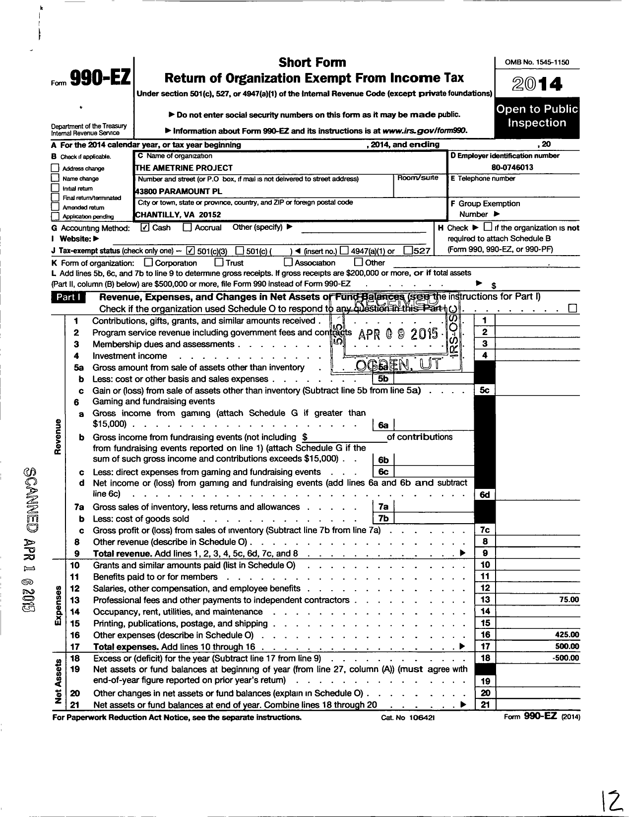 Image of first page of 2014 Form 990EZ for The Ametrine Project