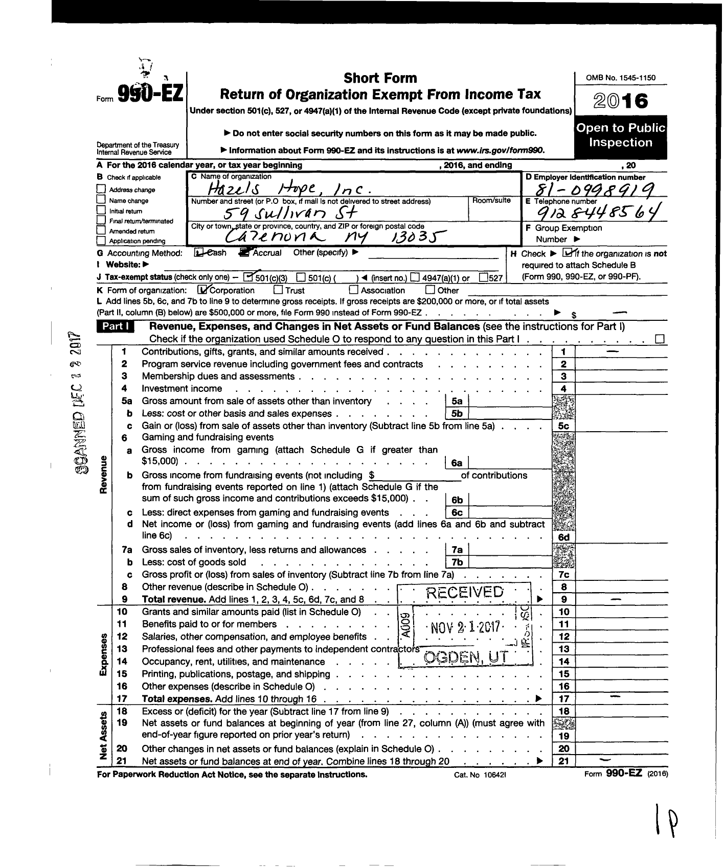 Image of first page of 2016 Form 990EZ for Hazels Hope