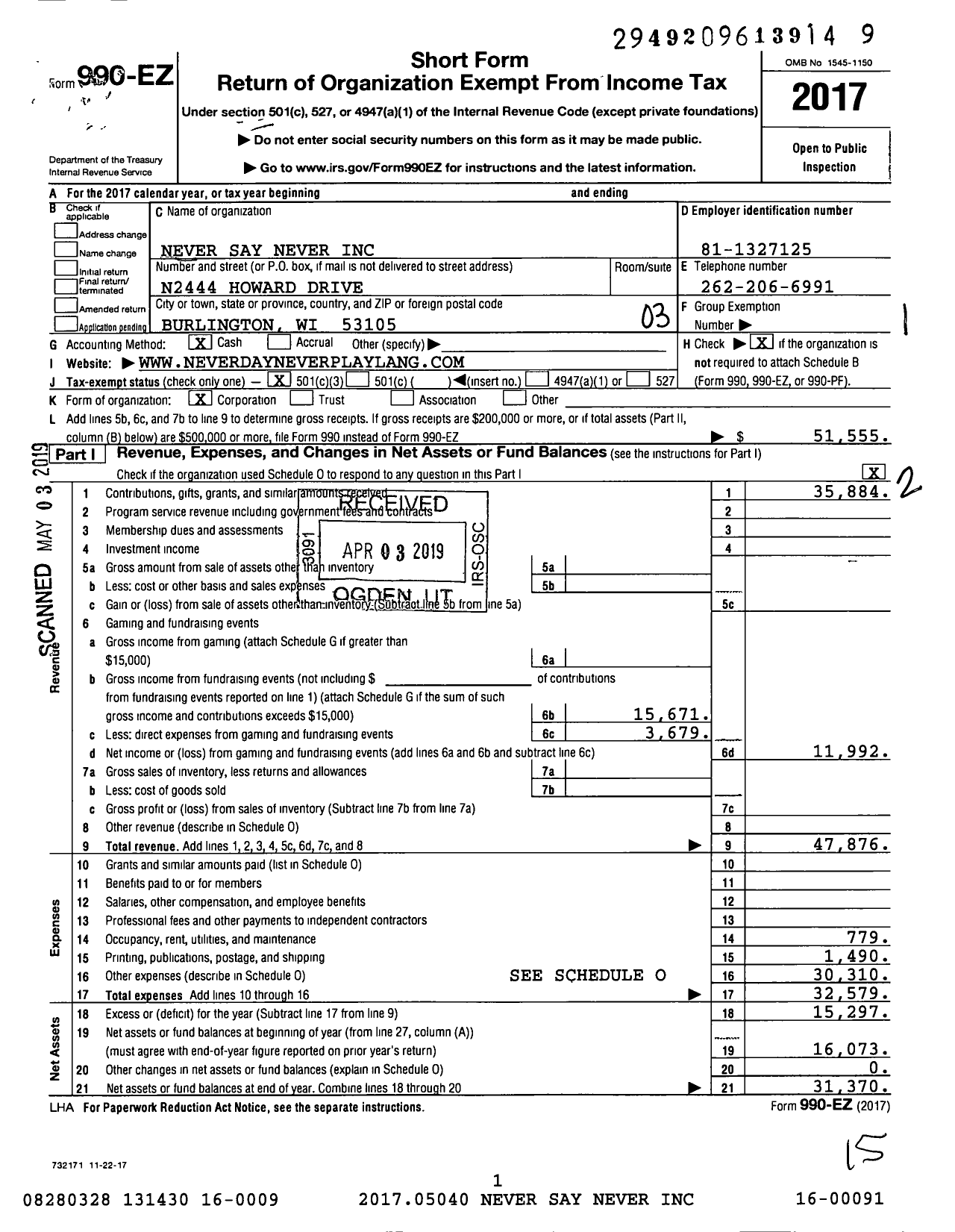 Image of first page of 2017 Form 990EZ for Never Say Never