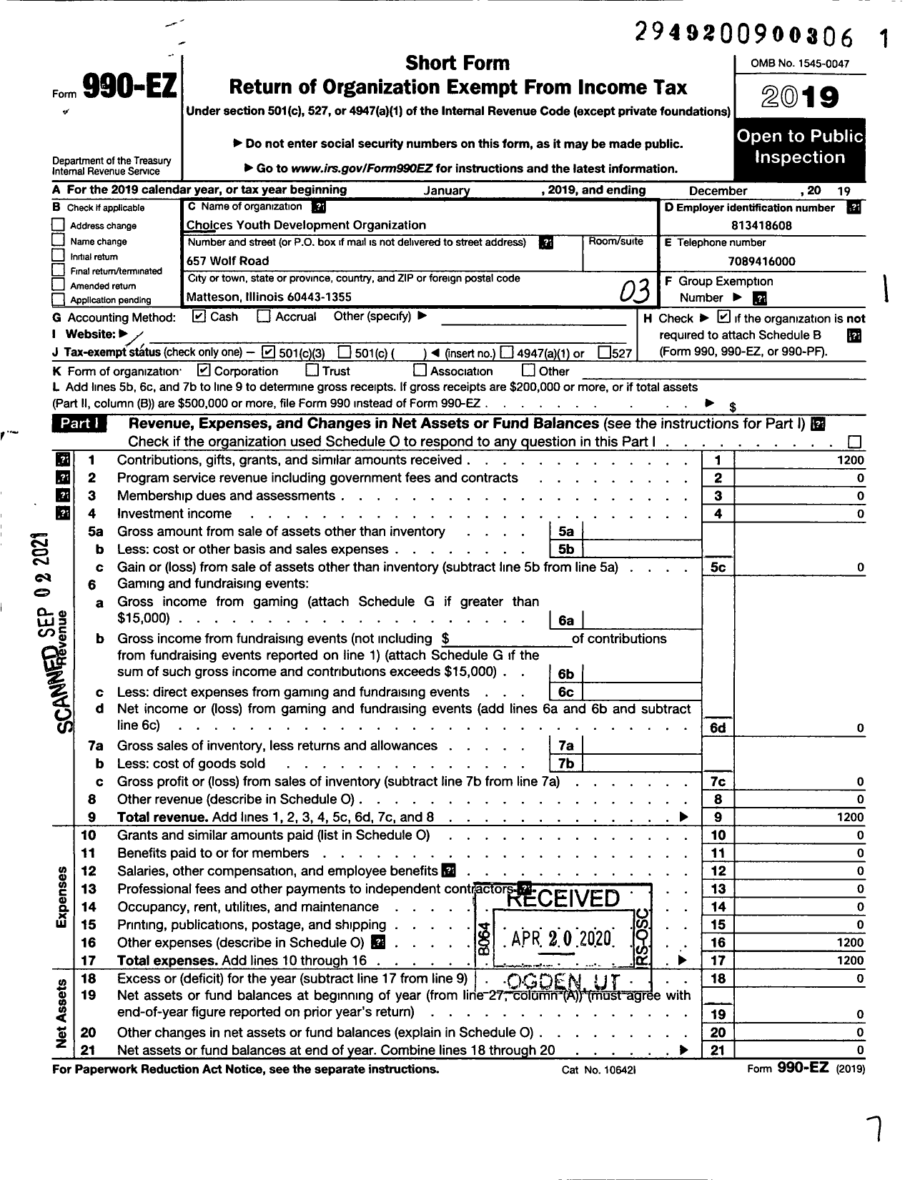 Image of first page of 2019 Form 990EZ for Choices Youth Development Organization