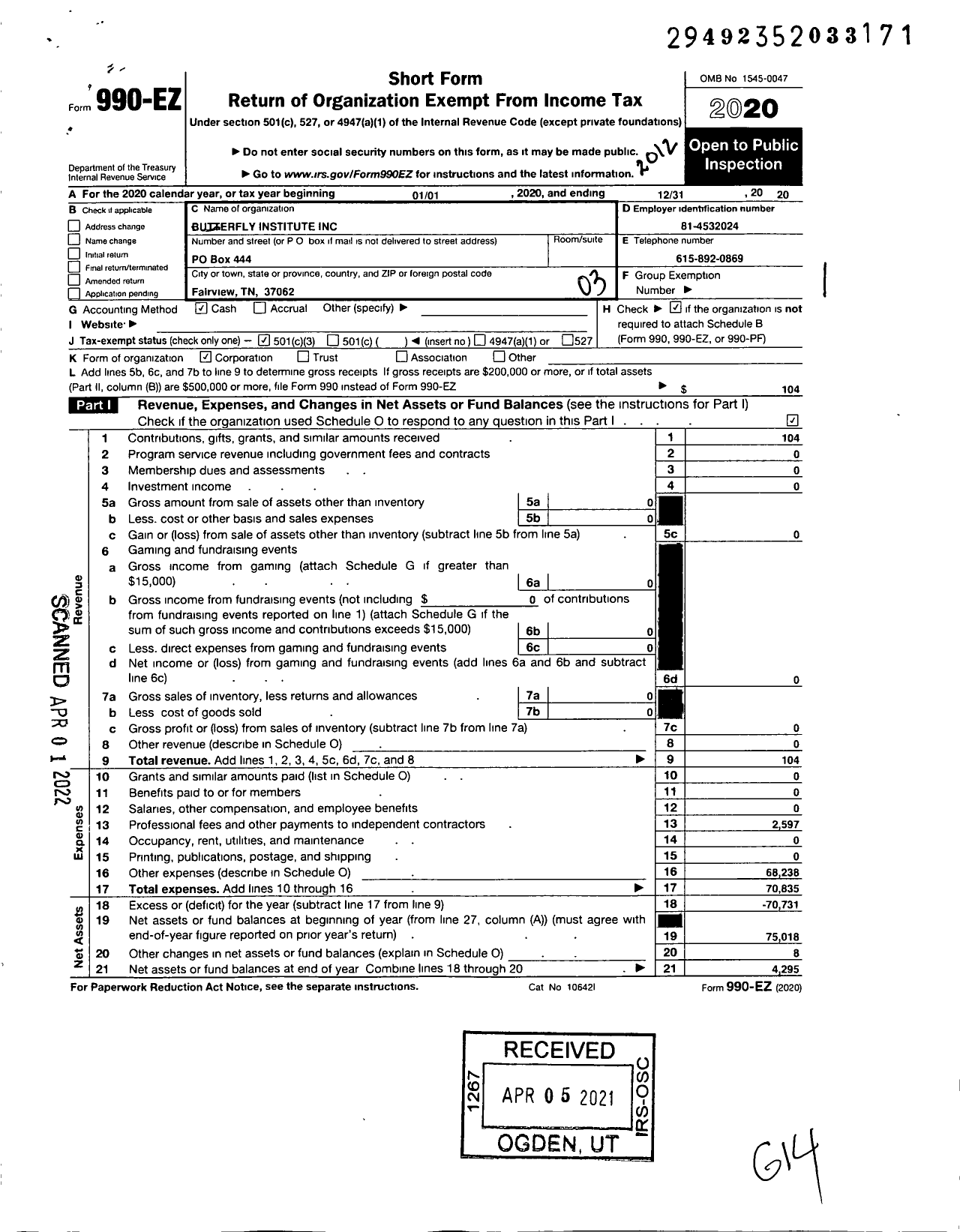 Image of first page of 2020 Form 990EZ for Butterfly Institute