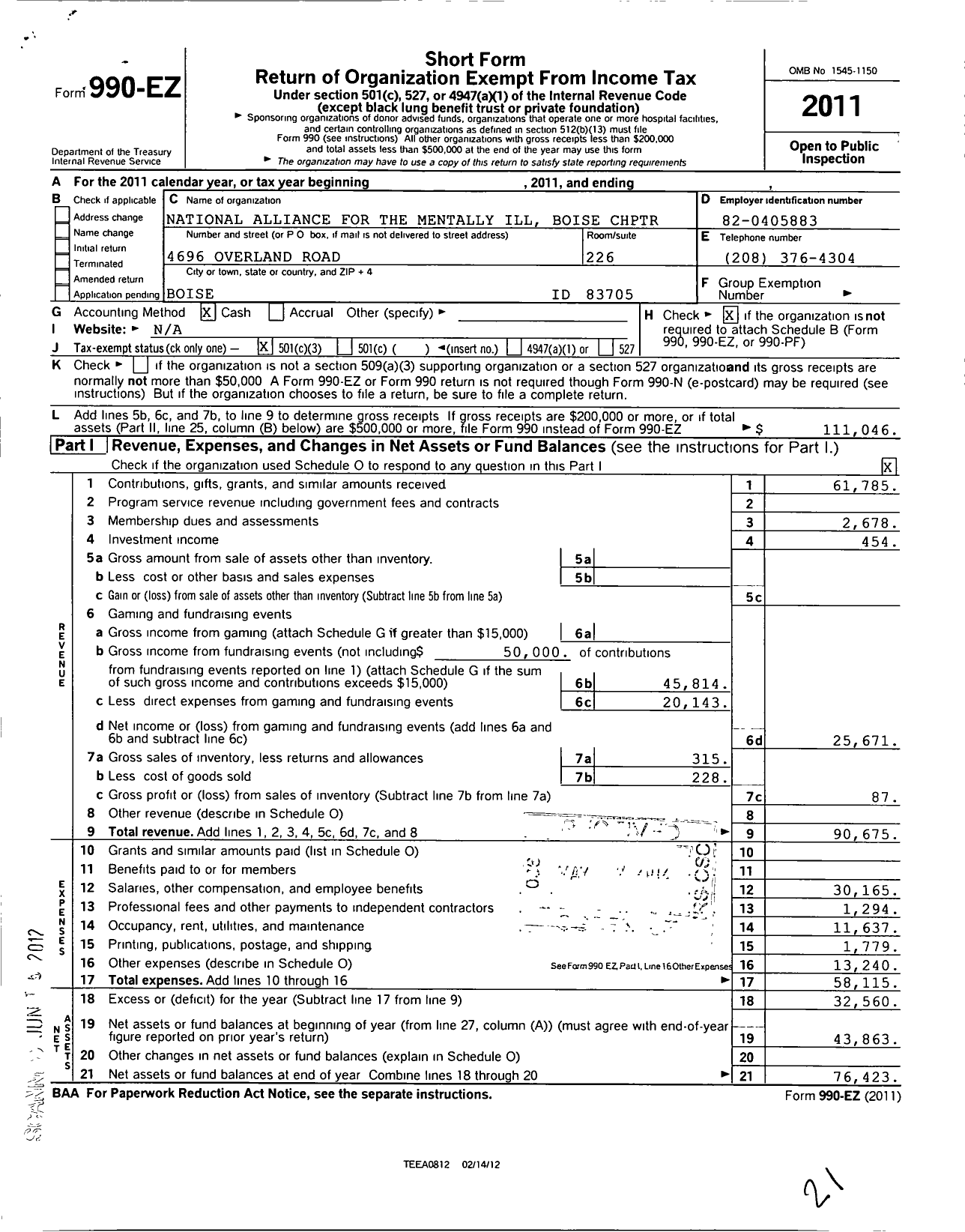 Image of first page of 2011 Form 990EZ for National Alliance on Mental Illness Treasure Valley